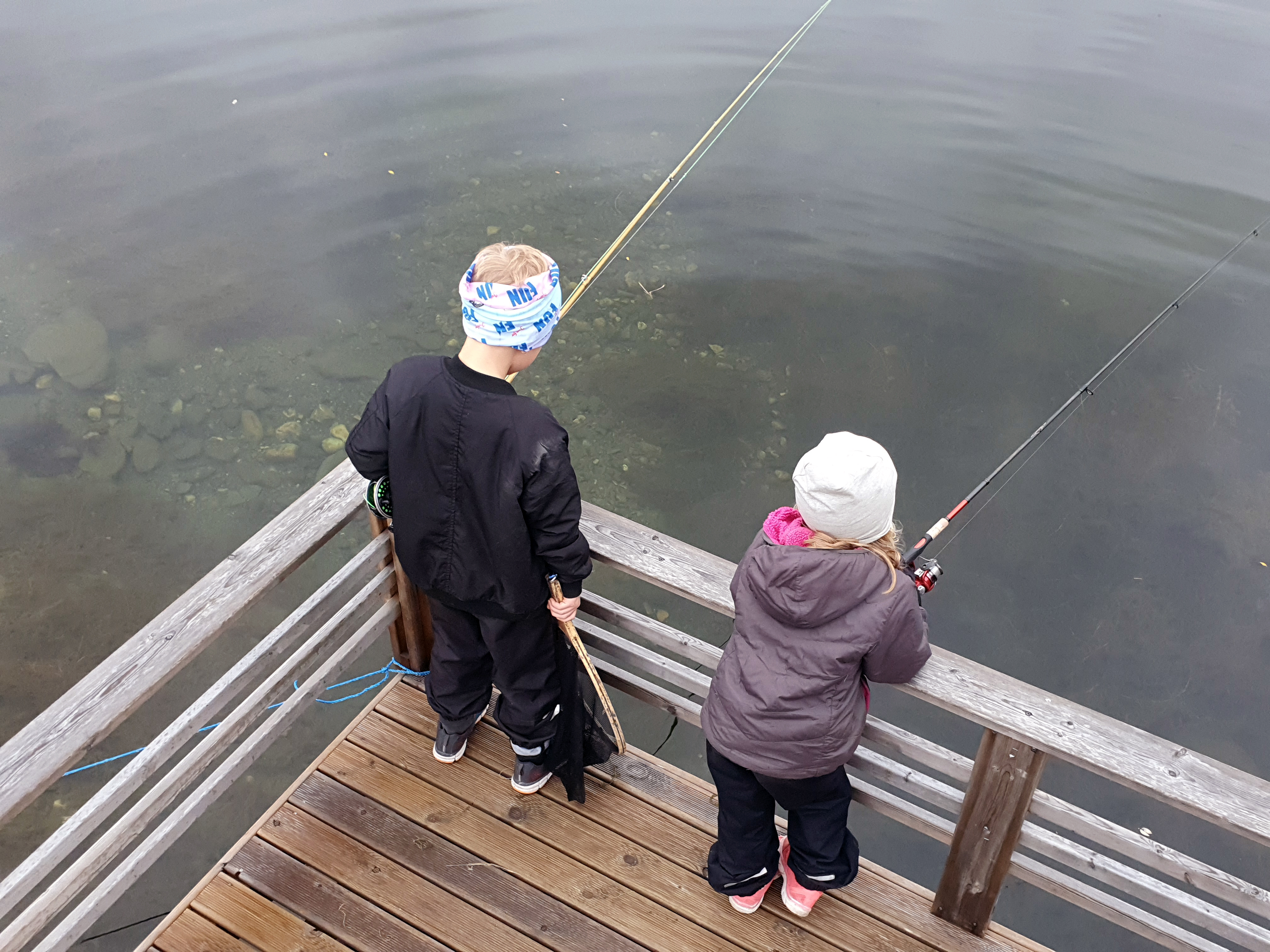 Bilder till bildgalleri