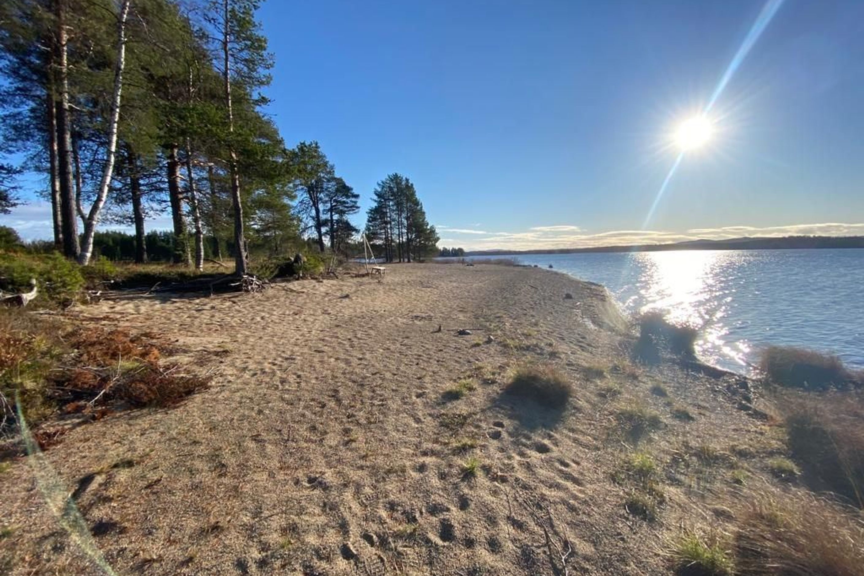 Bilder till bildgalleri