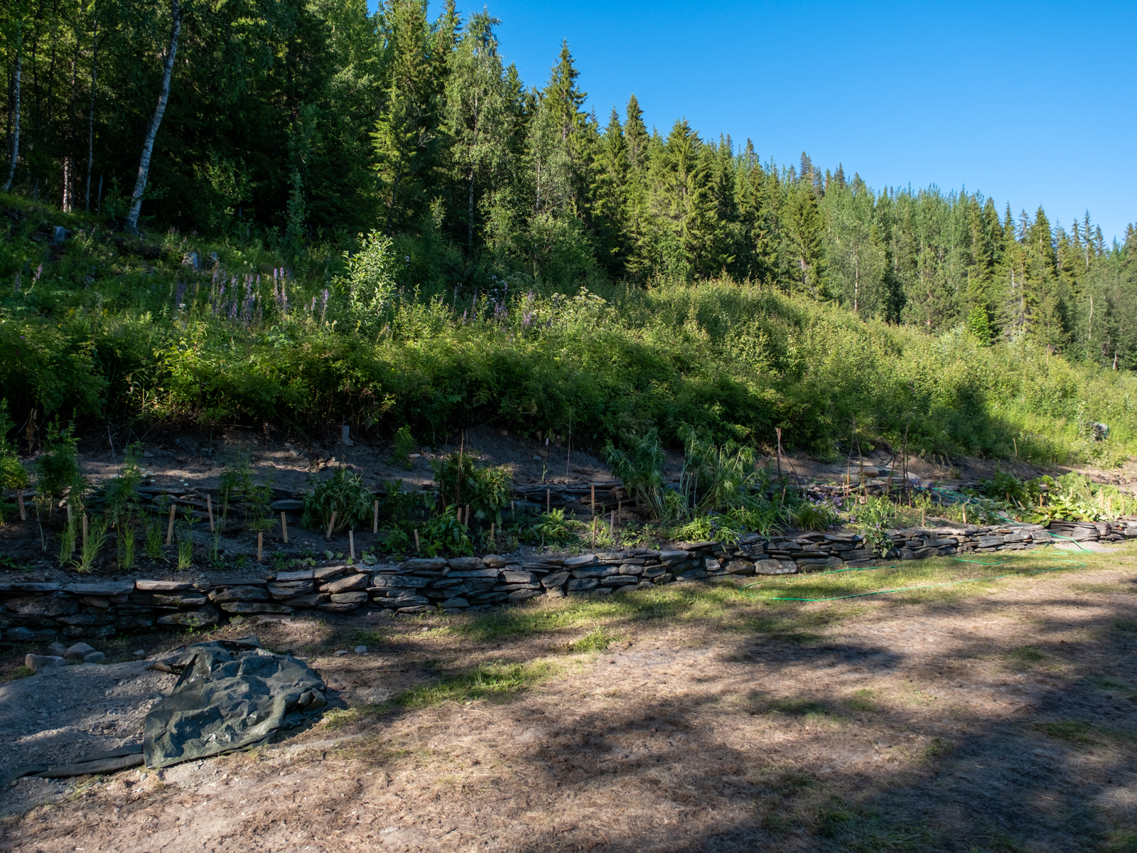 Bilder till bildgalleri