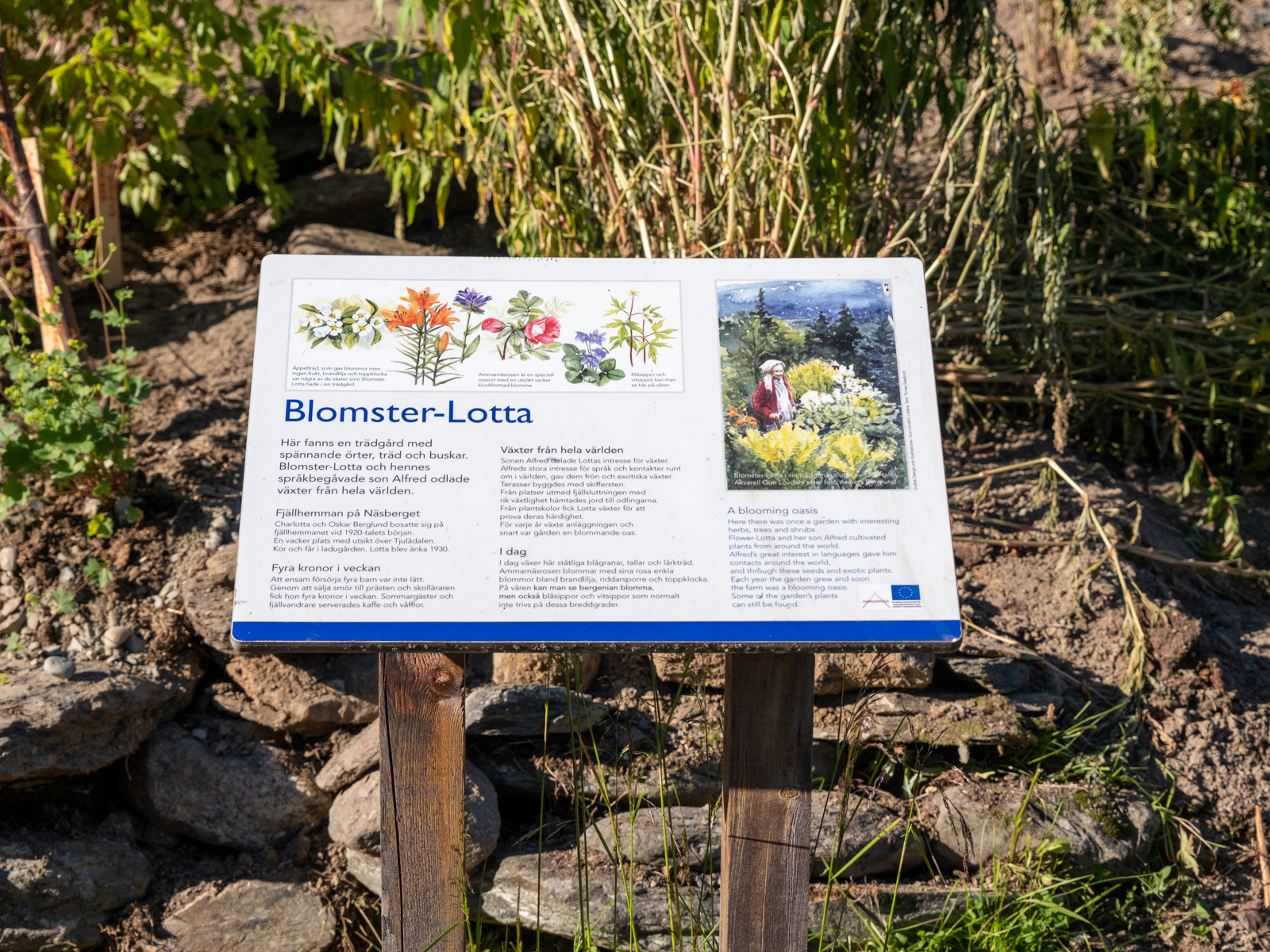 Bilder till bildgalleri