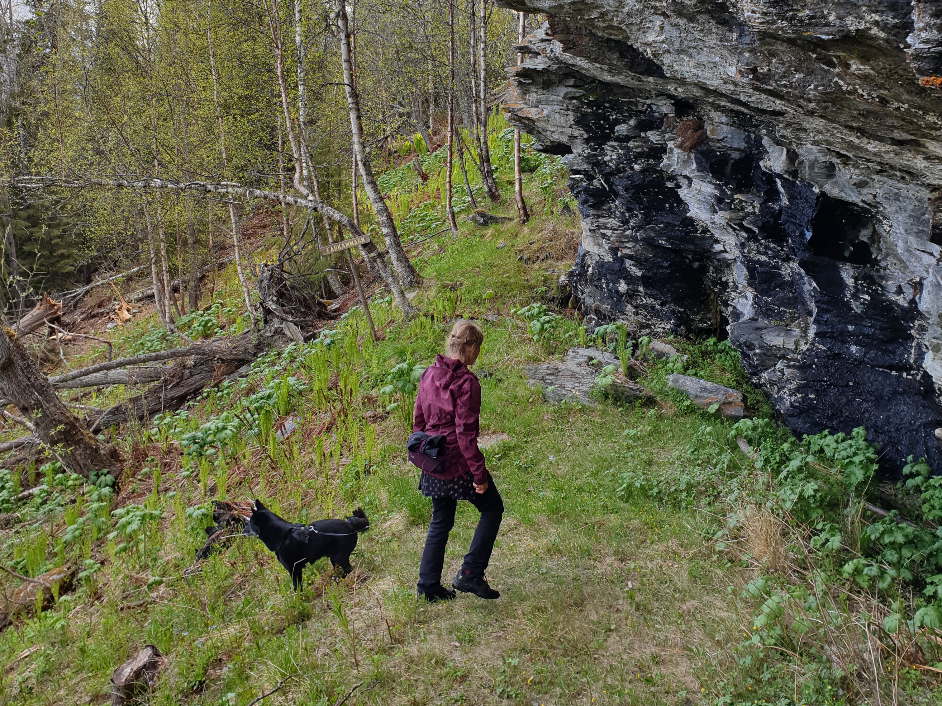 Bilder till bildgalleri