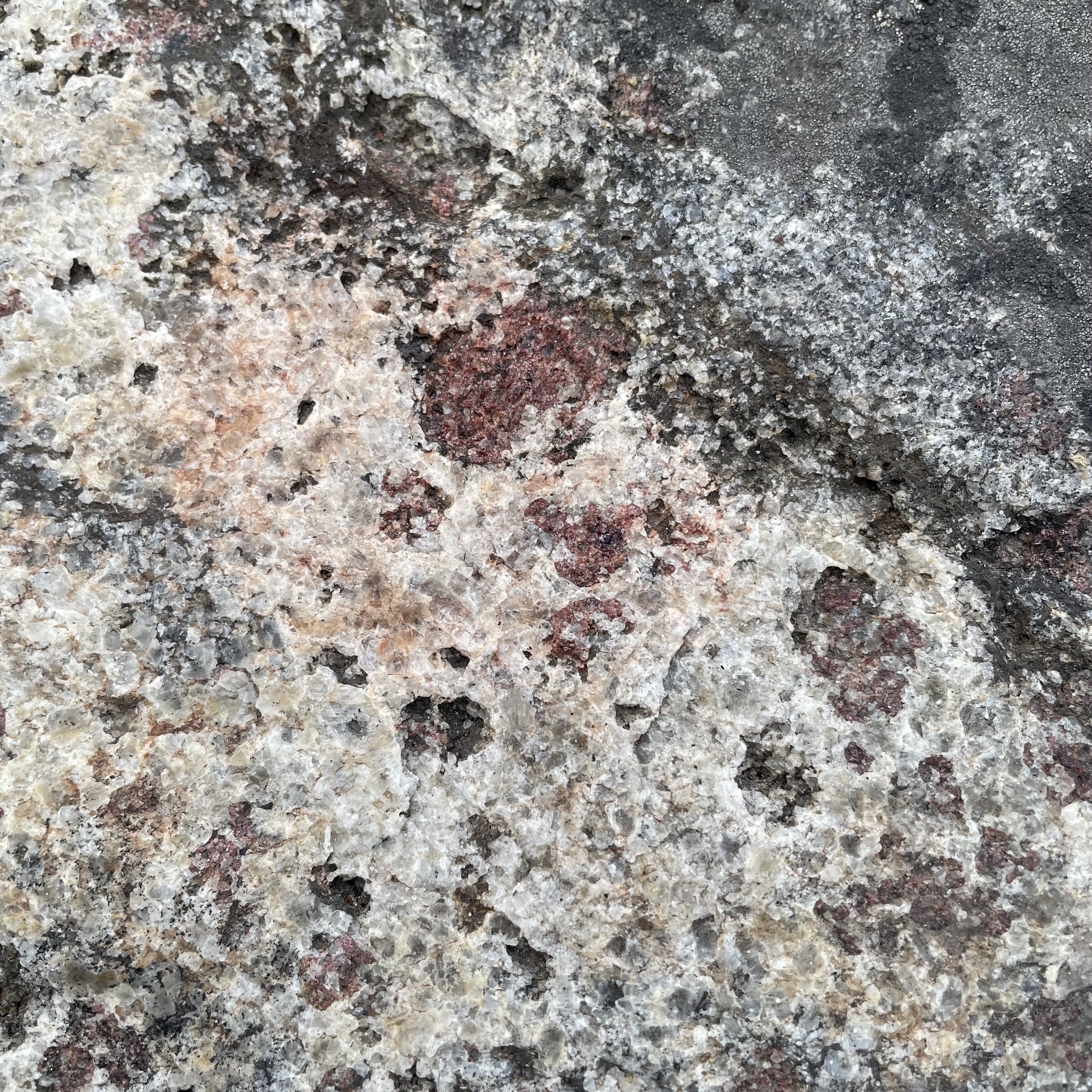 Bilder till bildgalleri