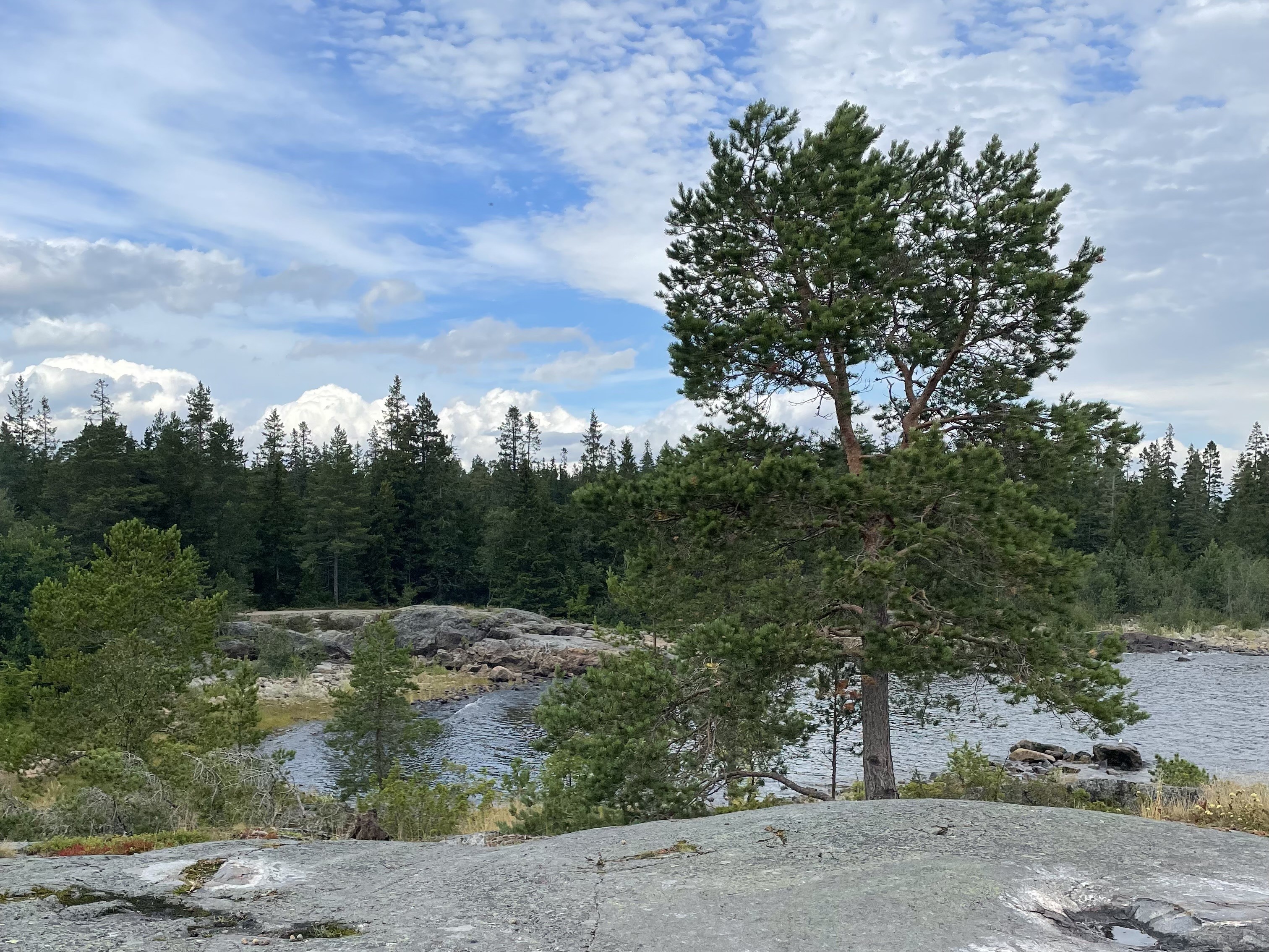 Bilder till bildgalleri