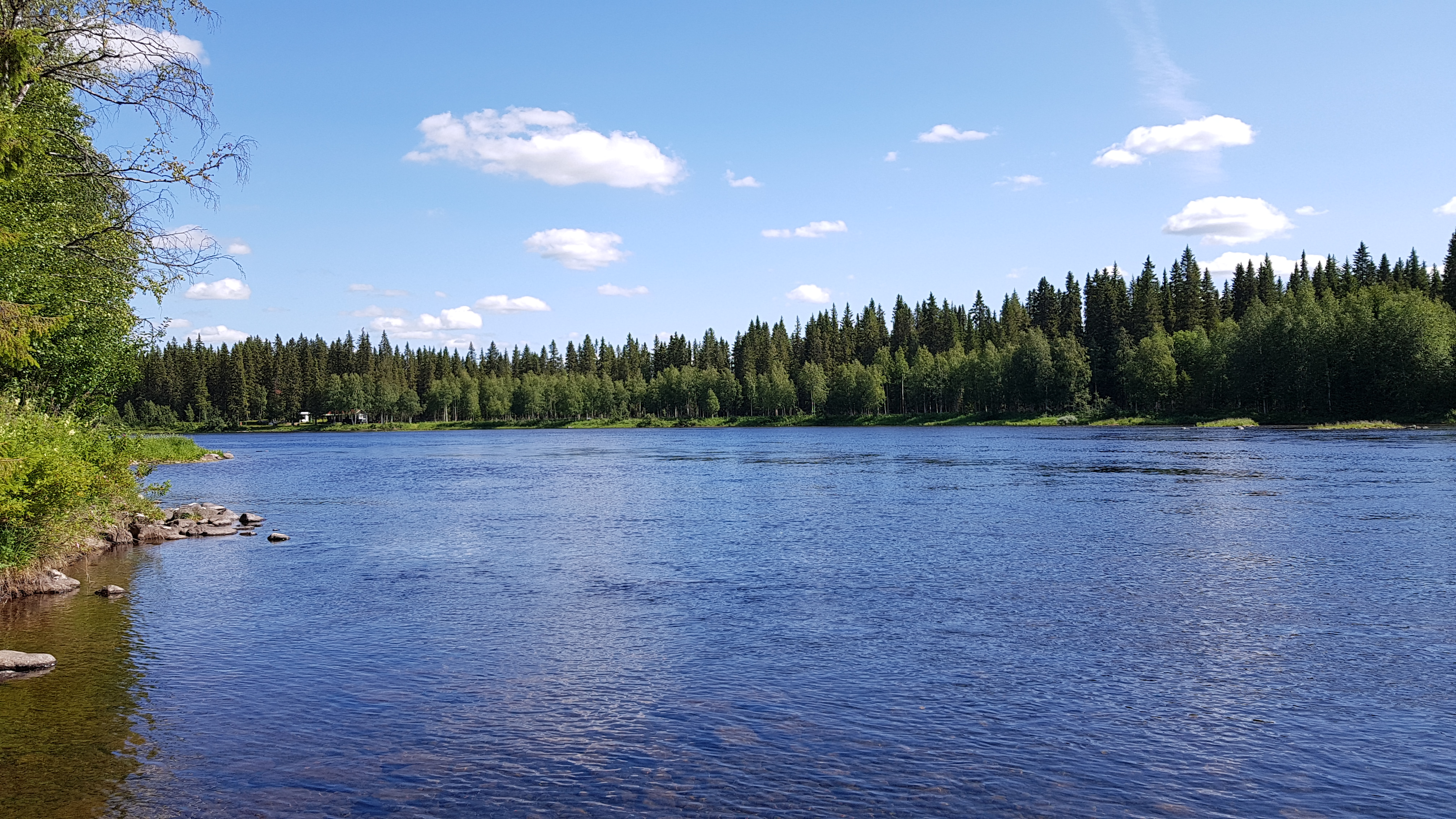 Bilder till bildgalleri