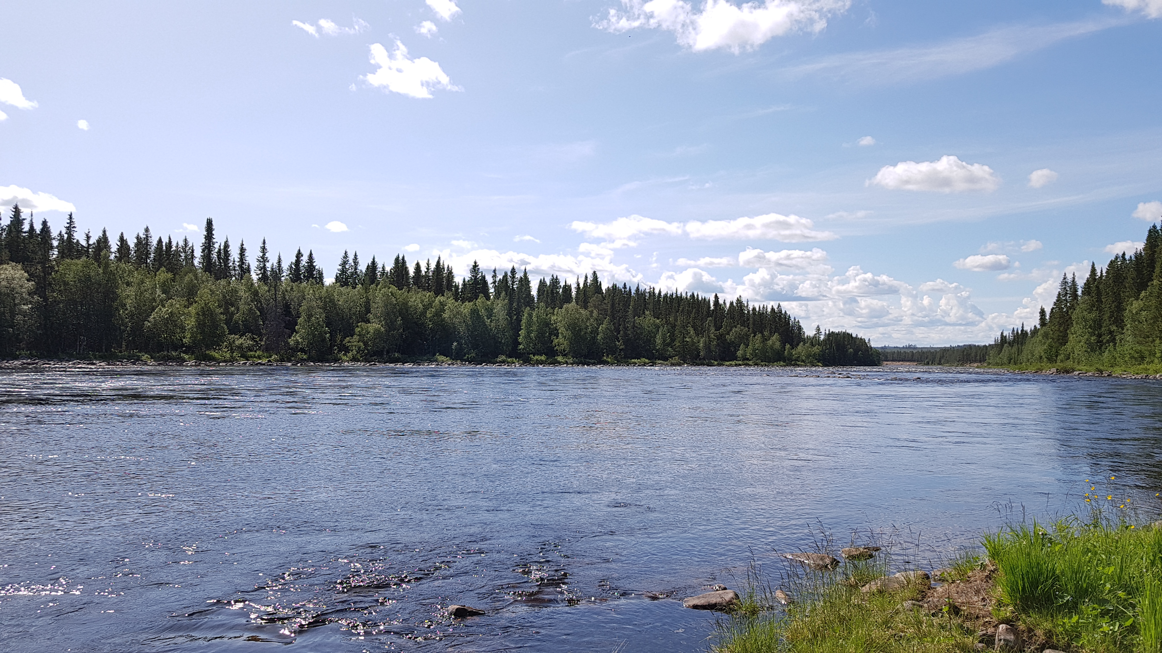 Bilder till bildgalleri