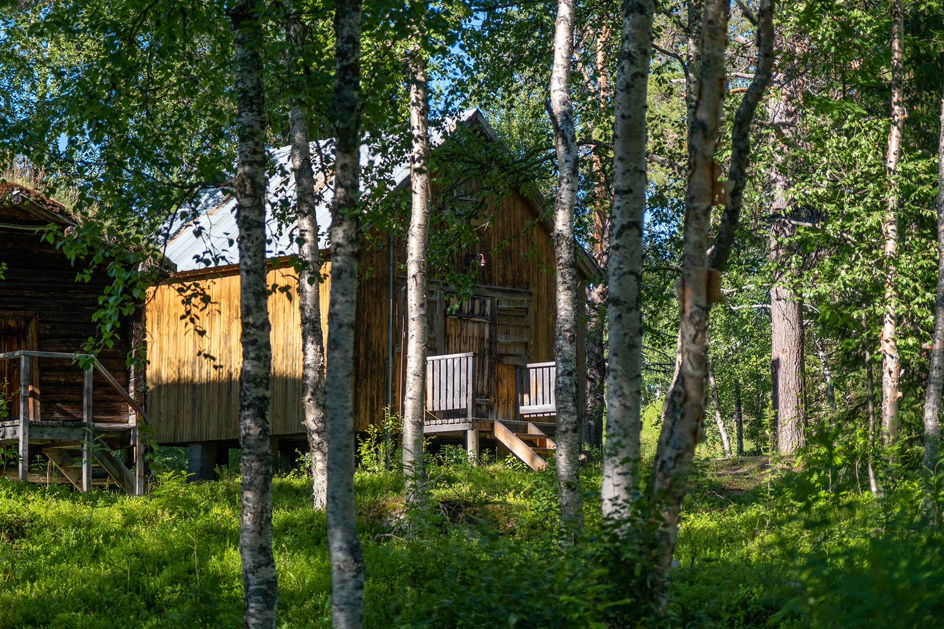 Bilder till bildgalleri