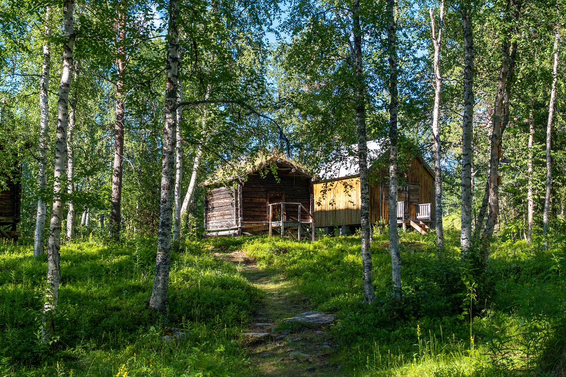 Bilder till bildgalleri