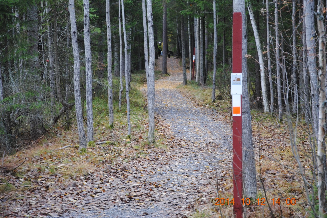 Bilder till bildgalleri