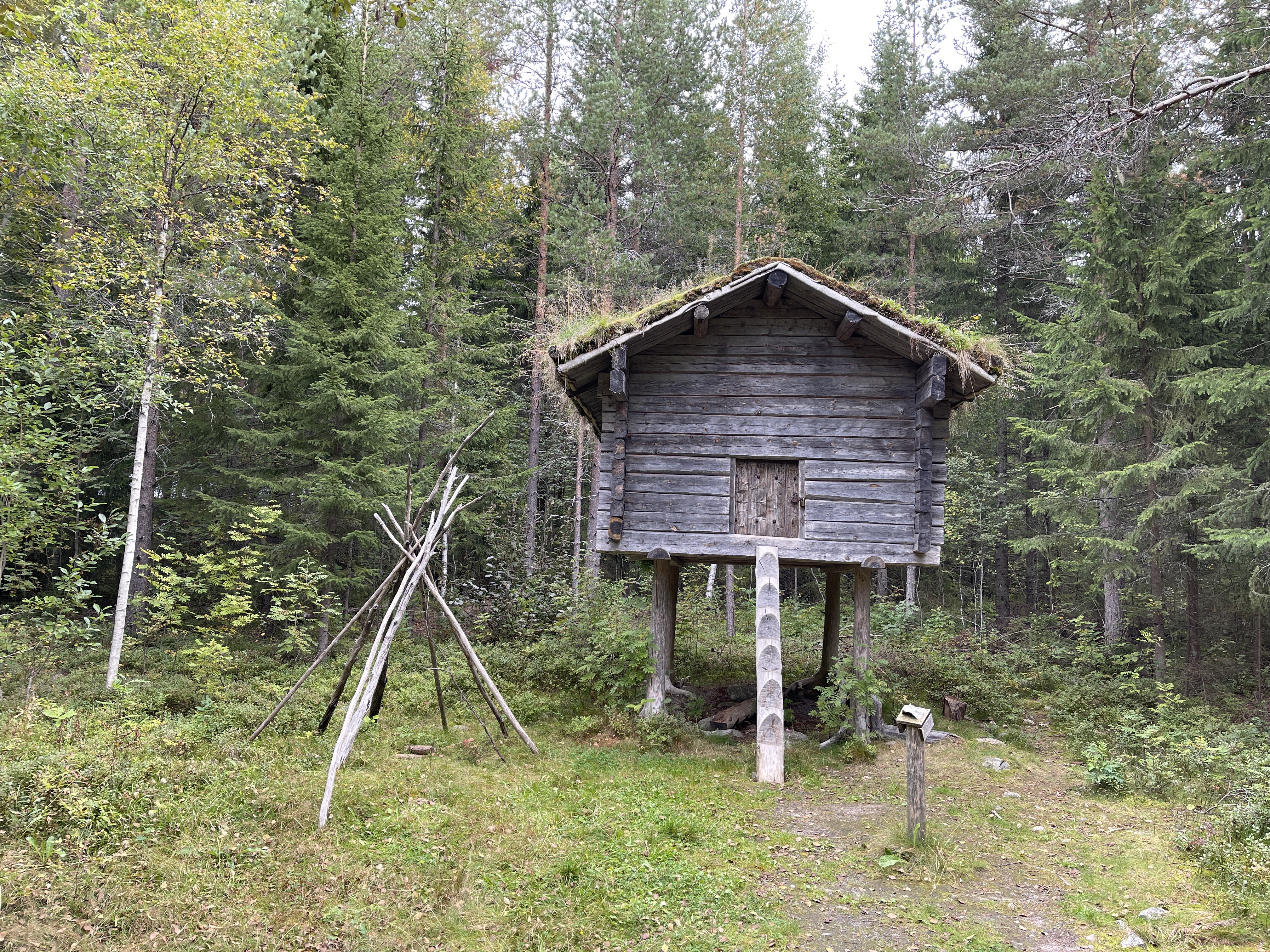 Bilder till bildgalleri