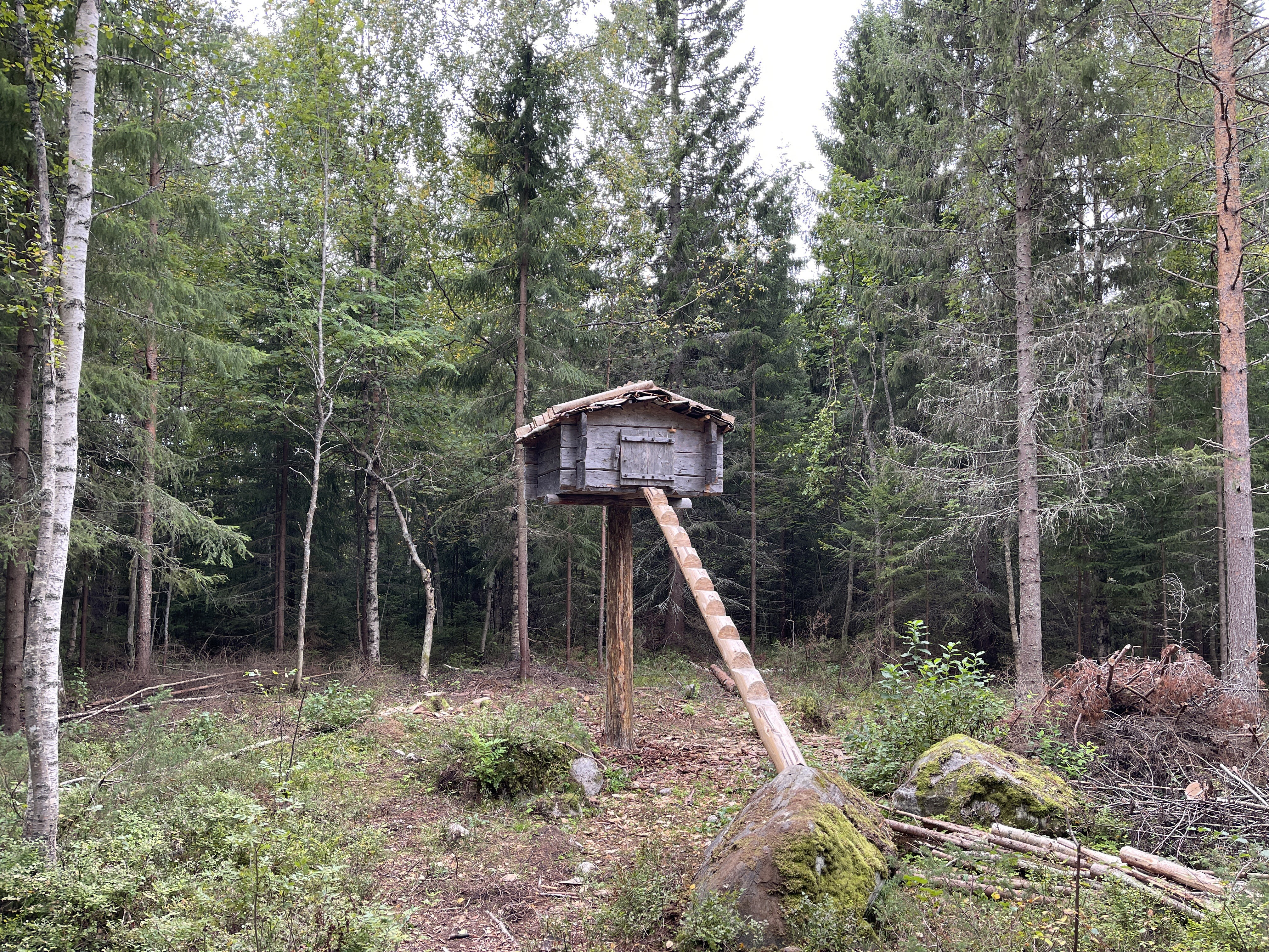 Bilder till bildgalleri