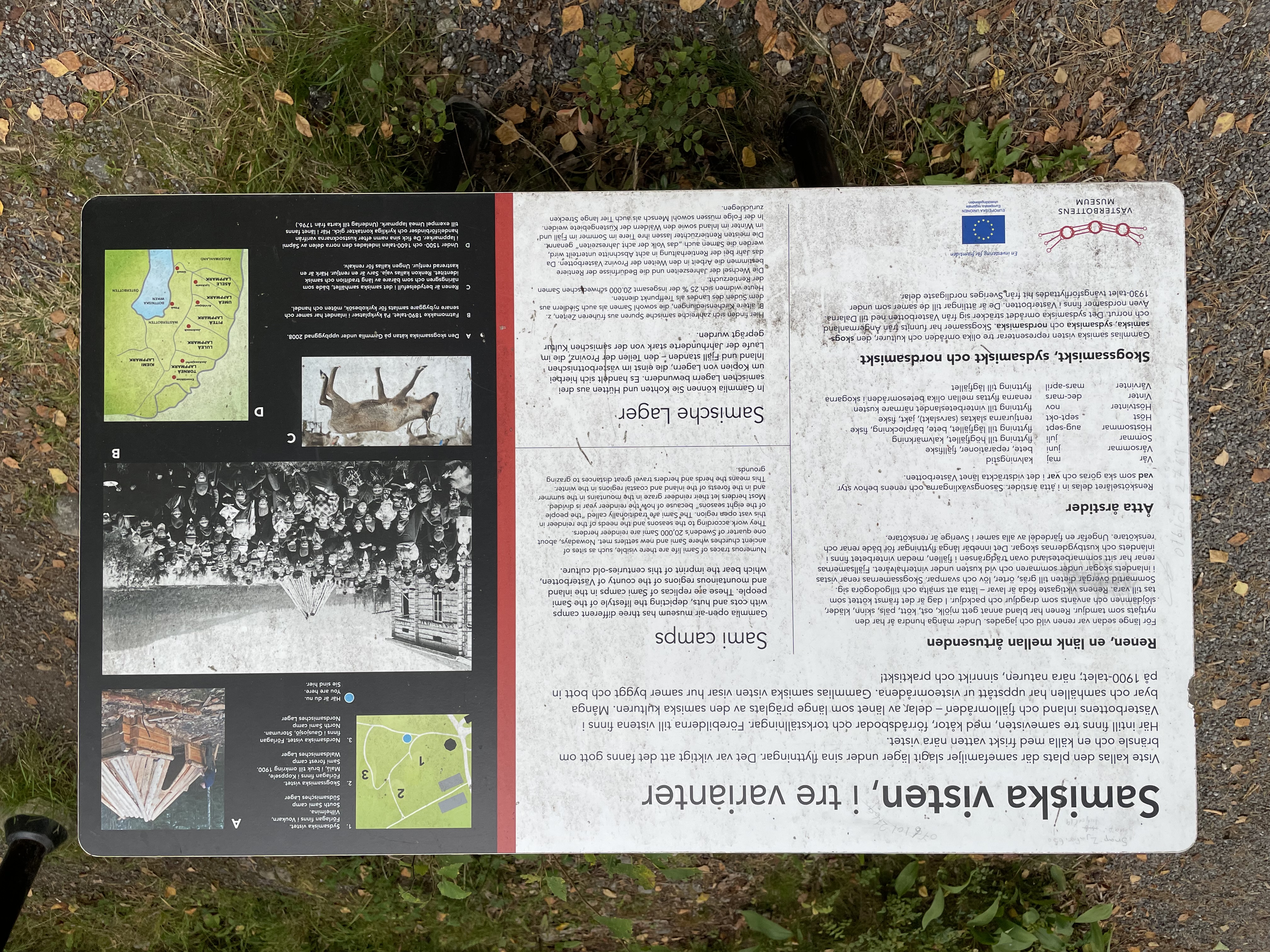 Bilder till bildgalleri