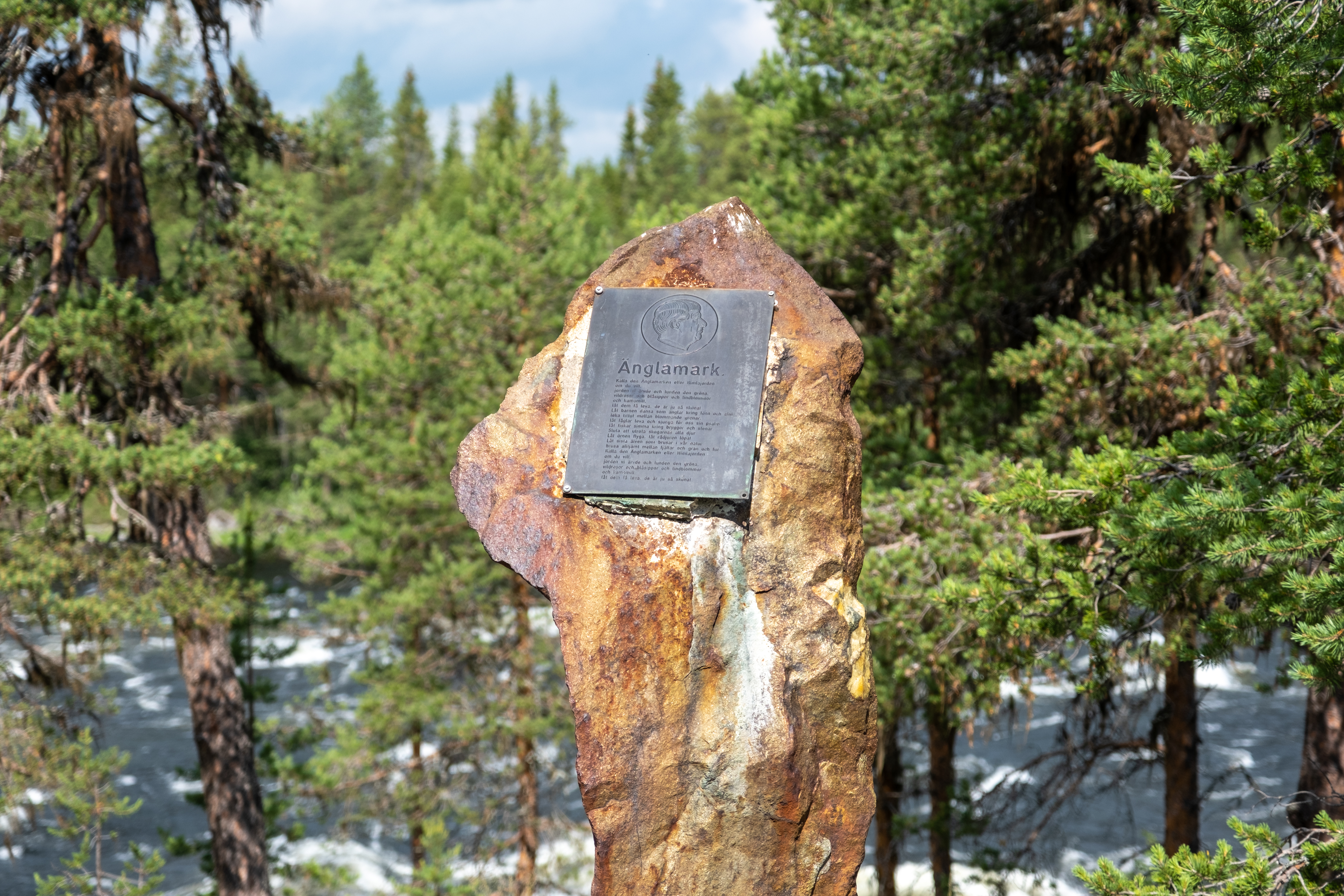 Bilder till bildgalleri