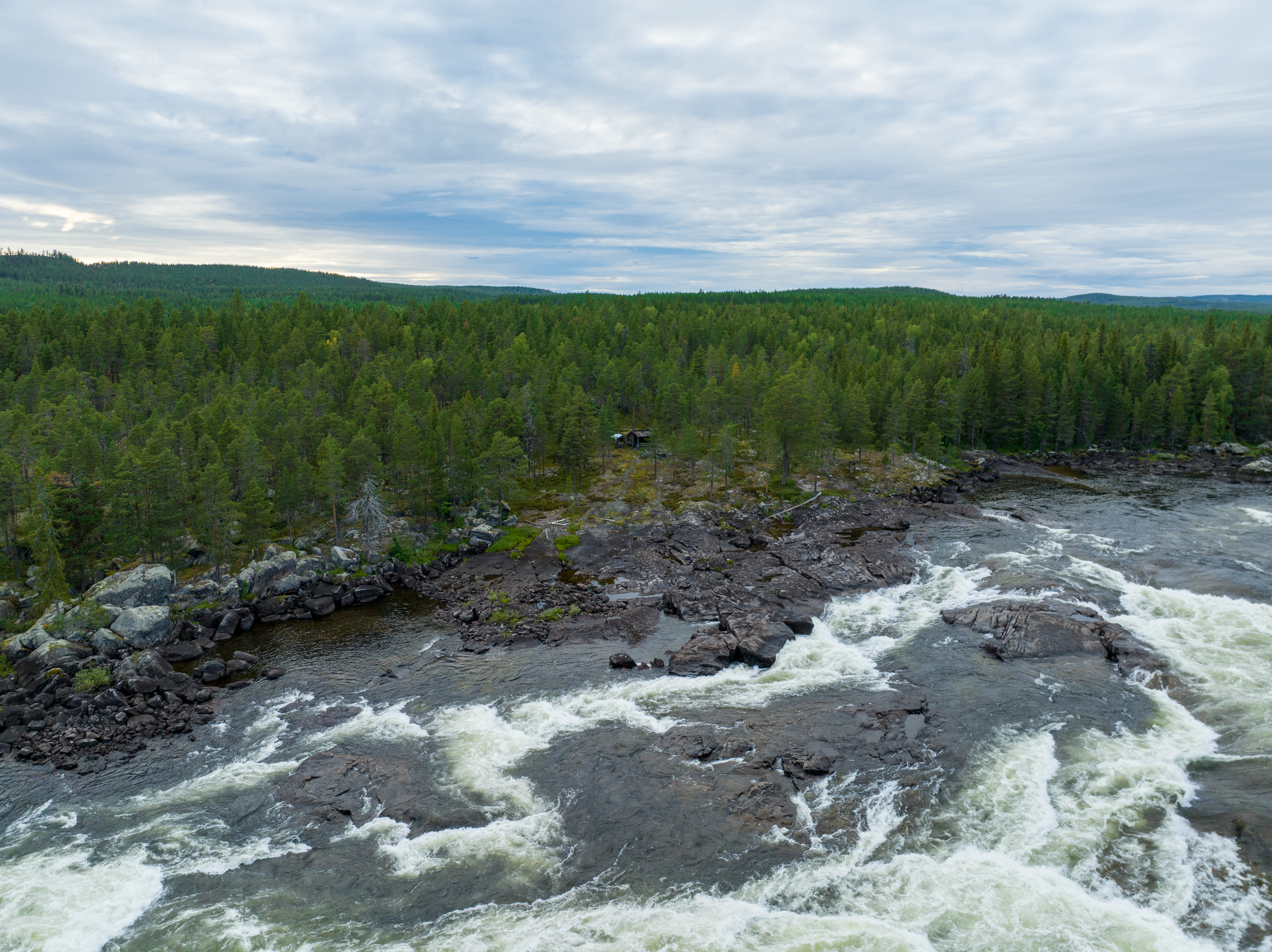 Bilder till bildgalleri