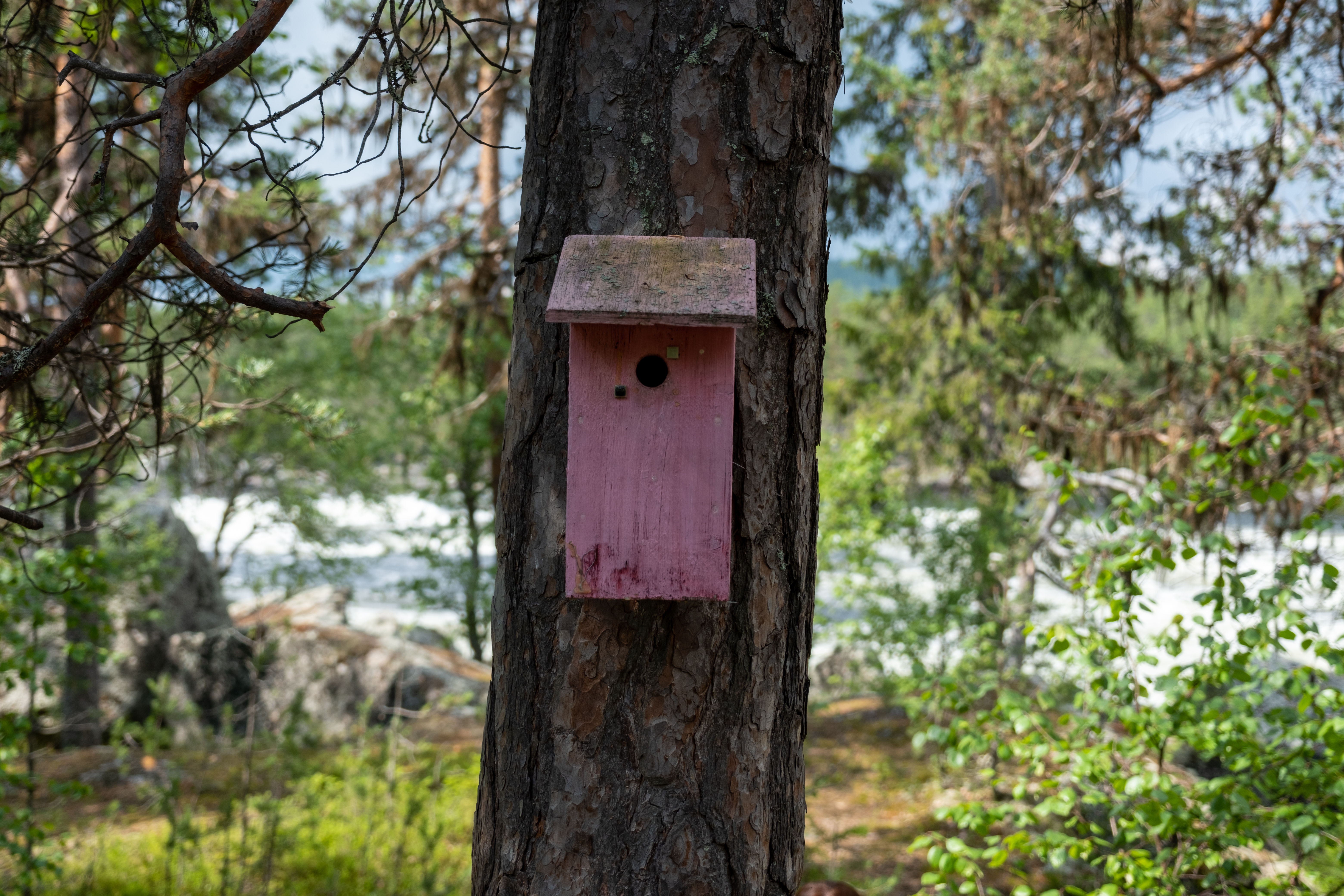 Bilder till bildgalleri