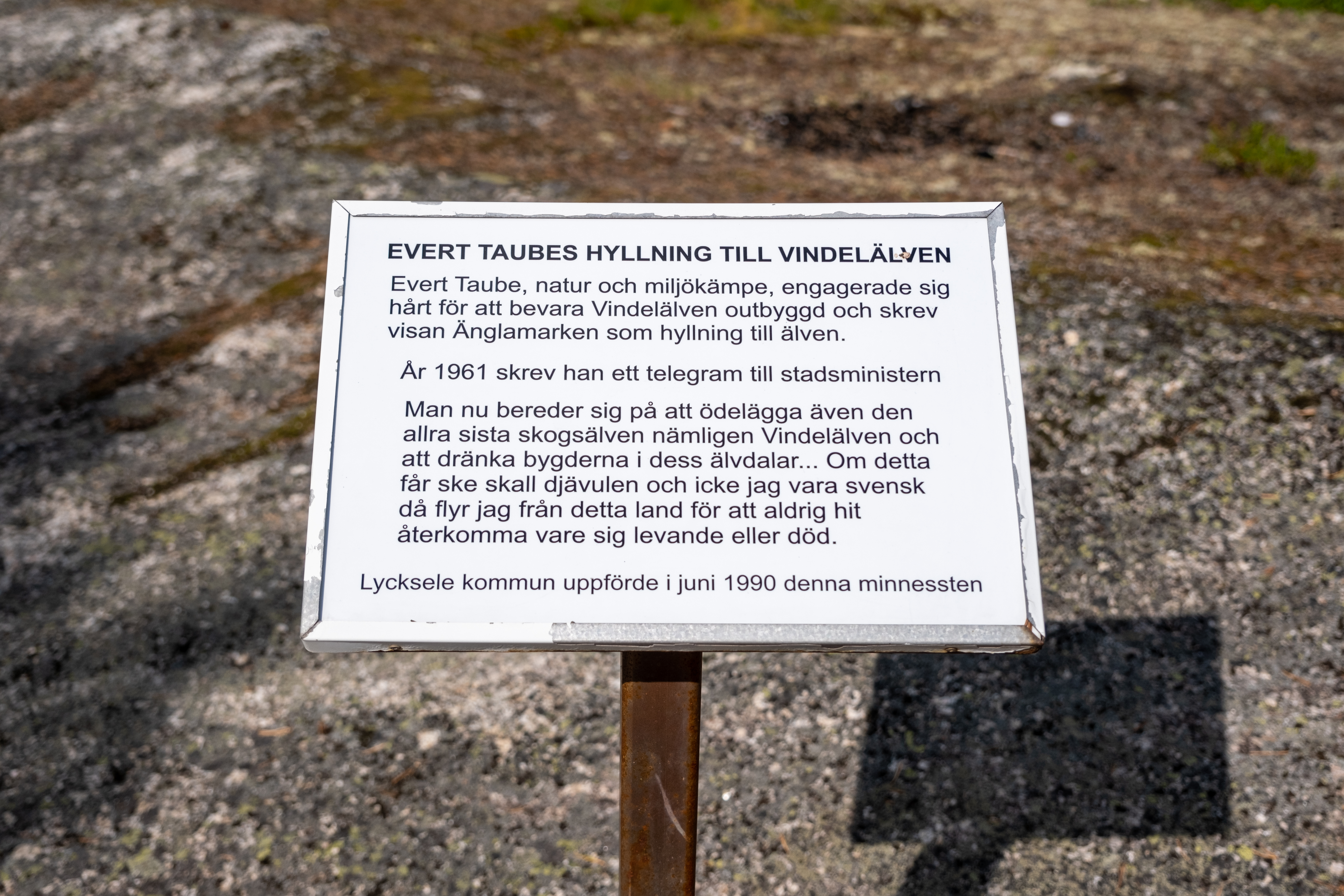 Bilder till bildgalleri