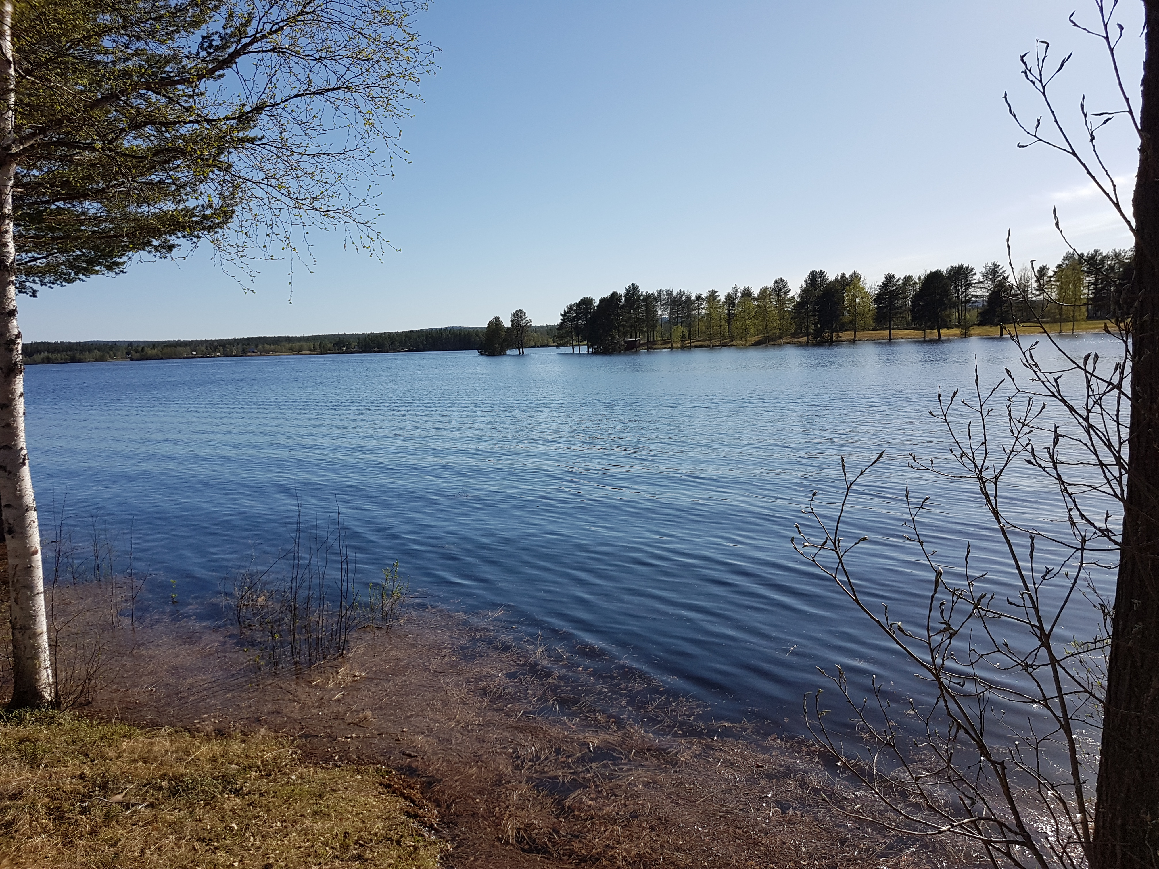 Bilder till bildgalleri