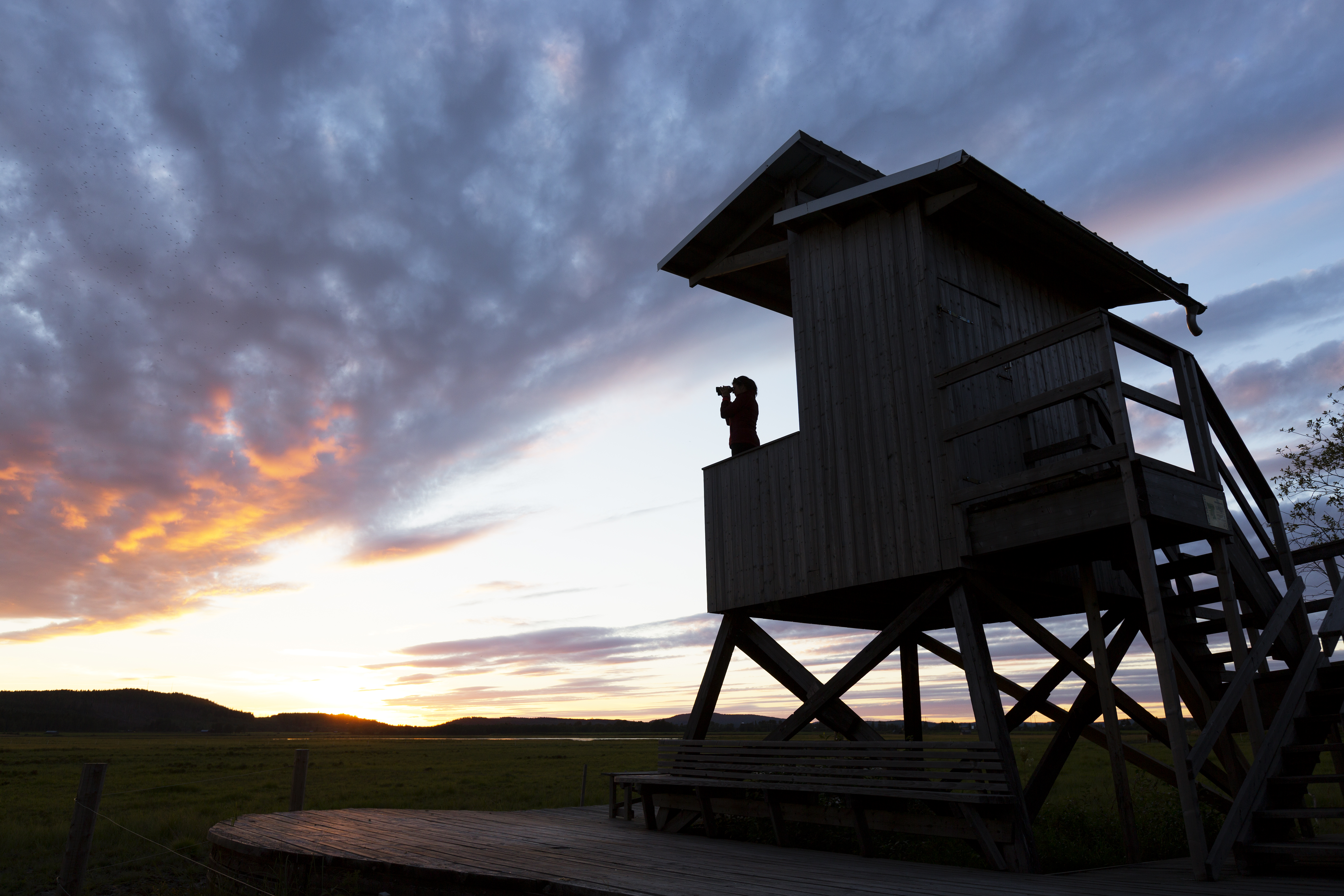 Bilder till bildgalleri