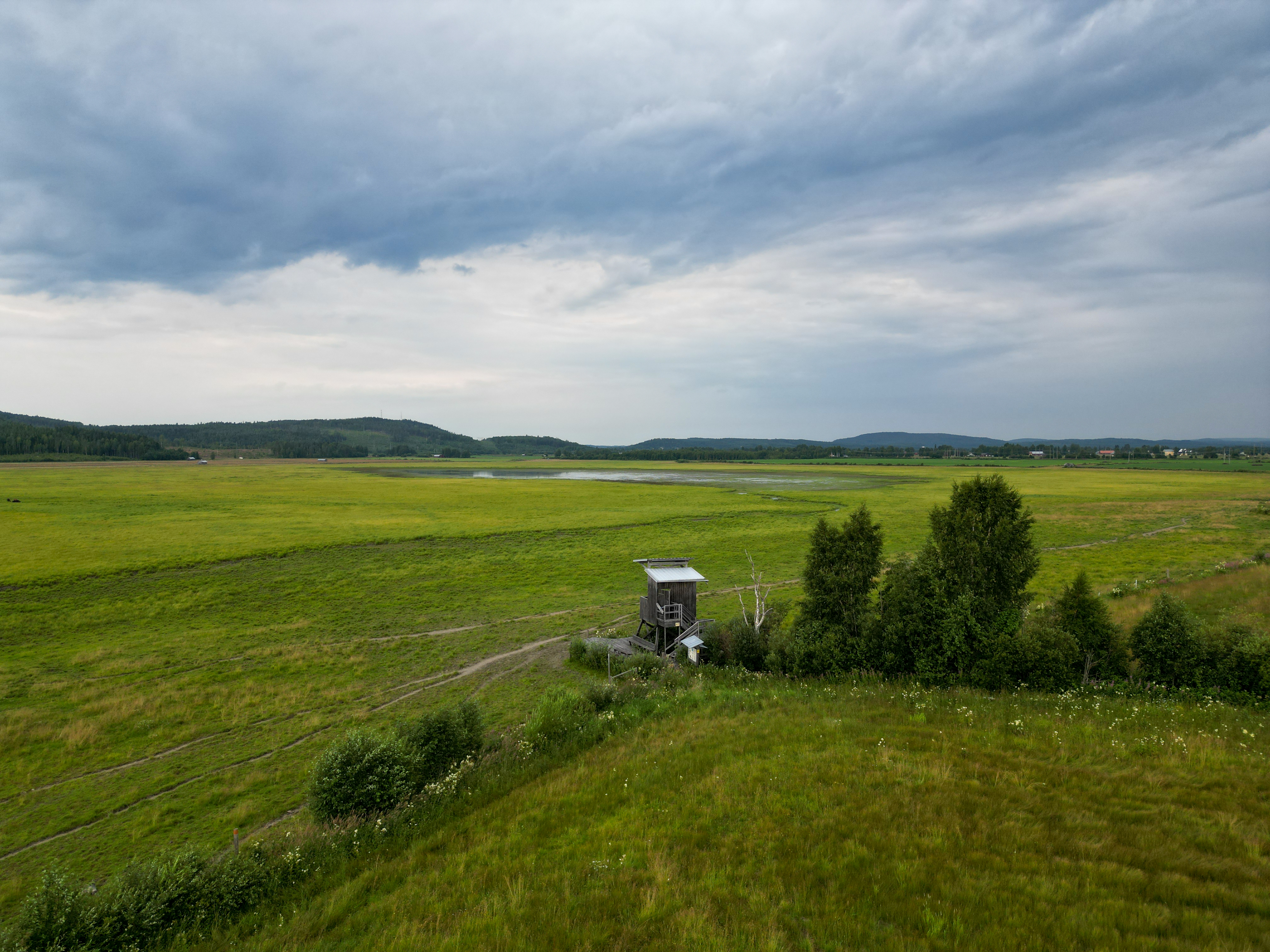 Bilder till bildgalleri