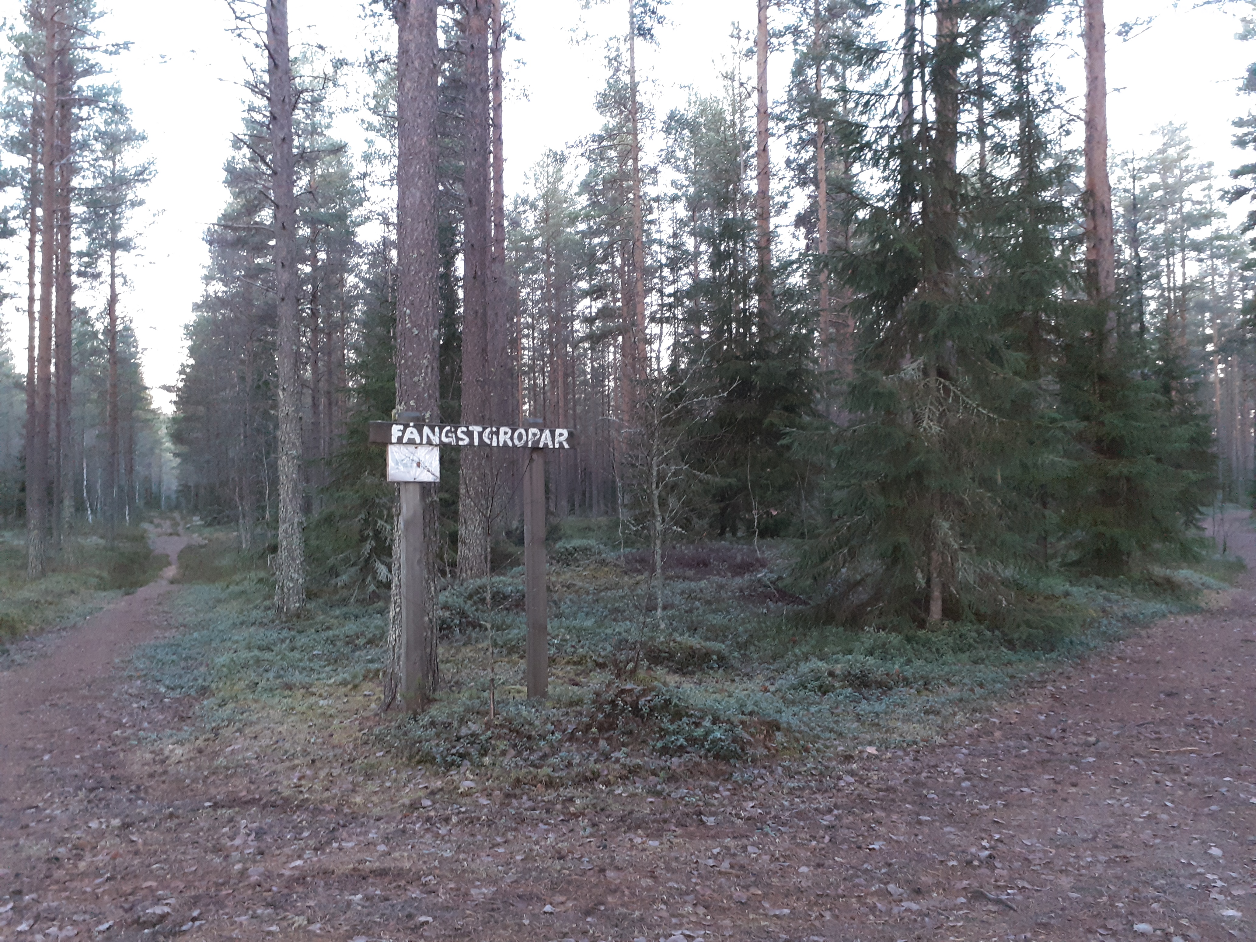 Bilder till bildgalleri