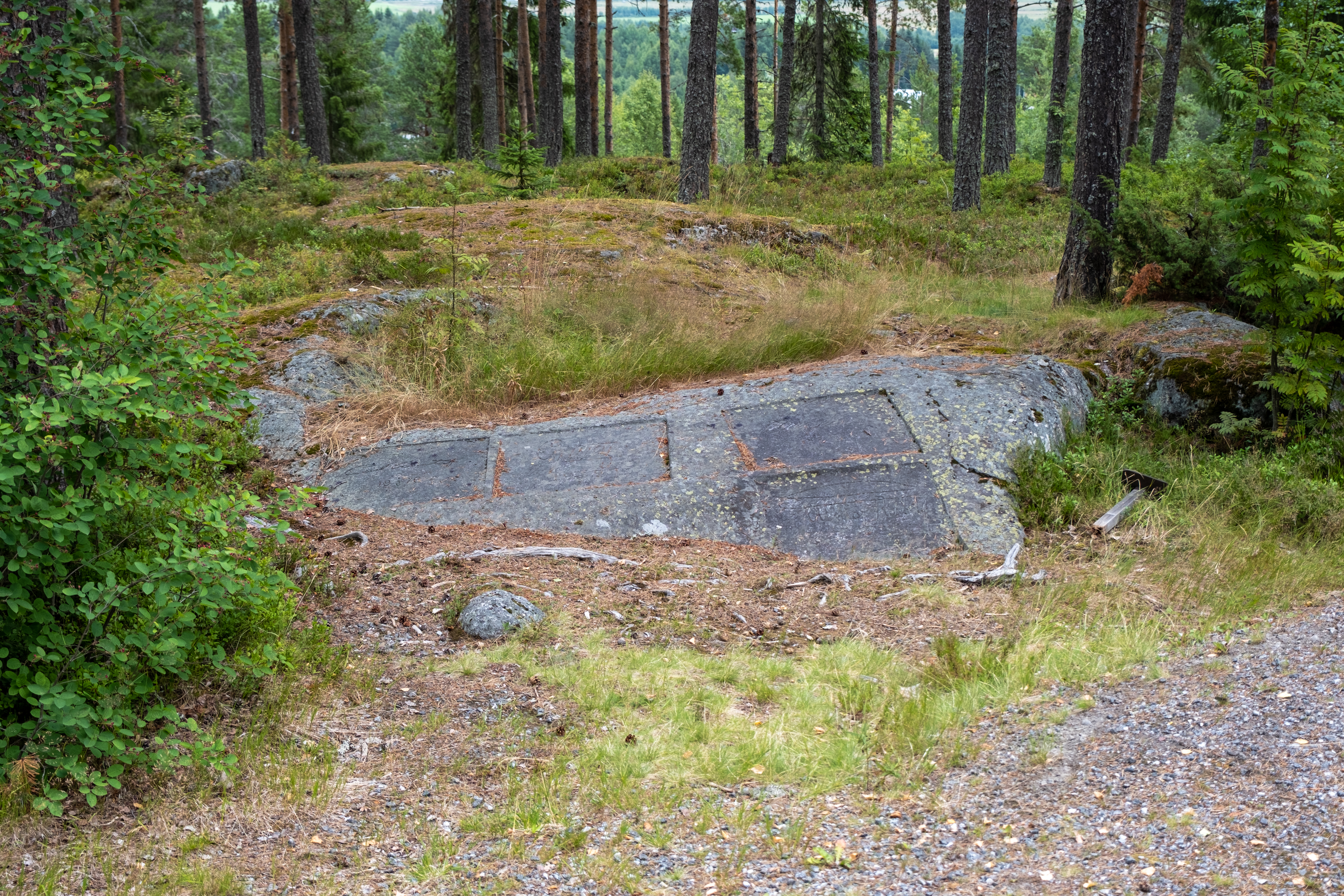 Bilder till bildgalleri
