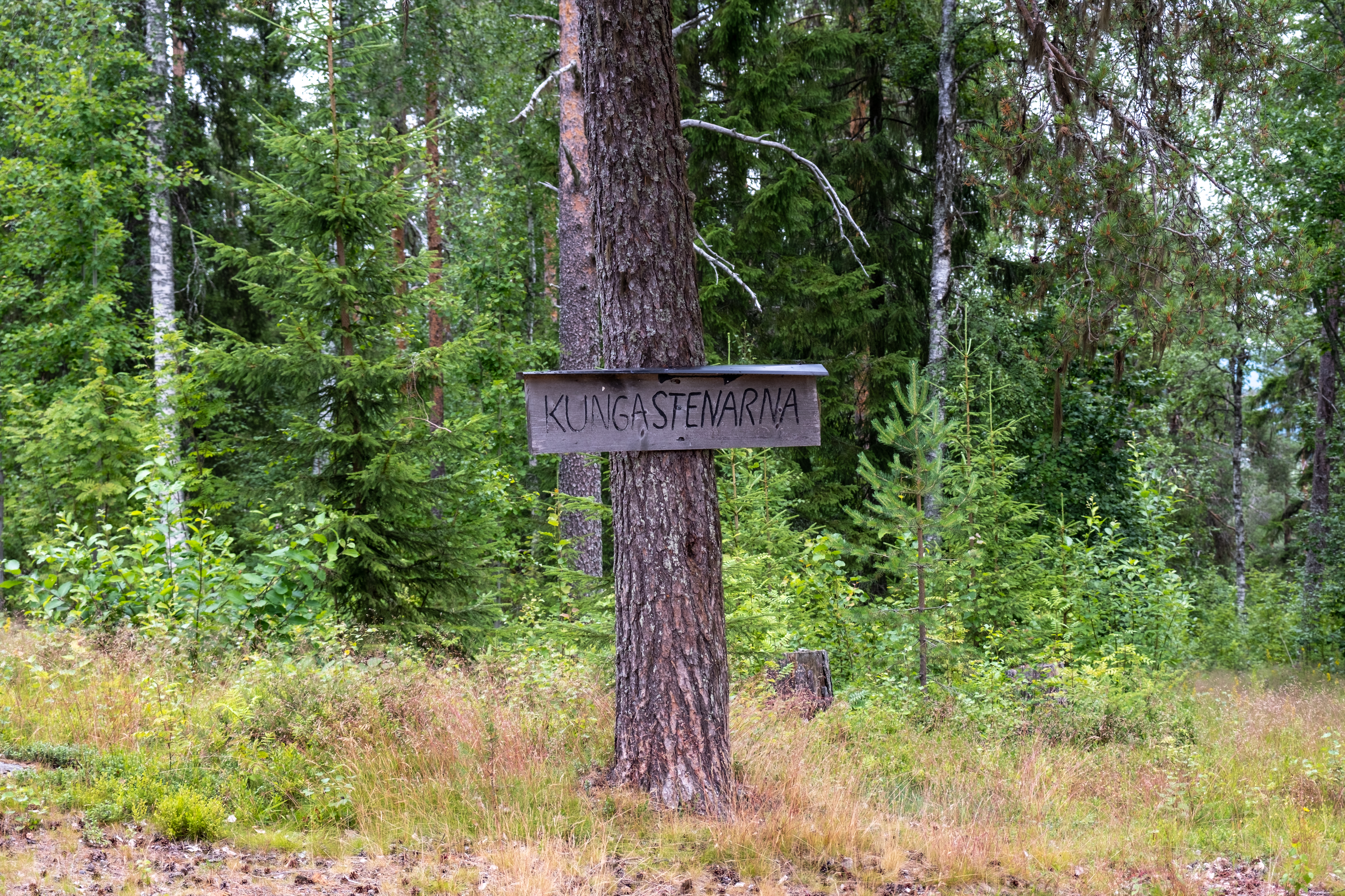 Bilder till bildgalleri