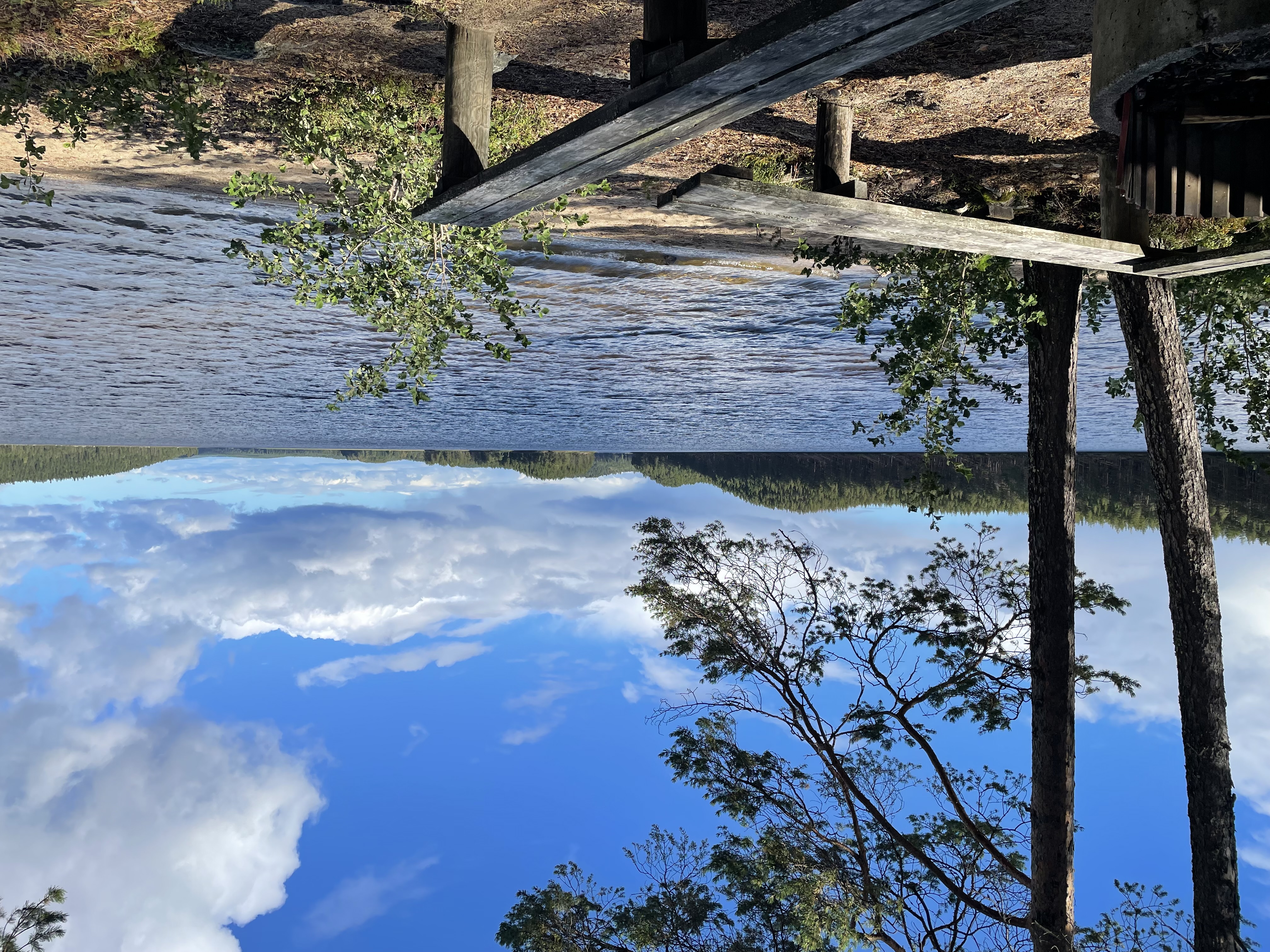 Bilder till bildgalleri