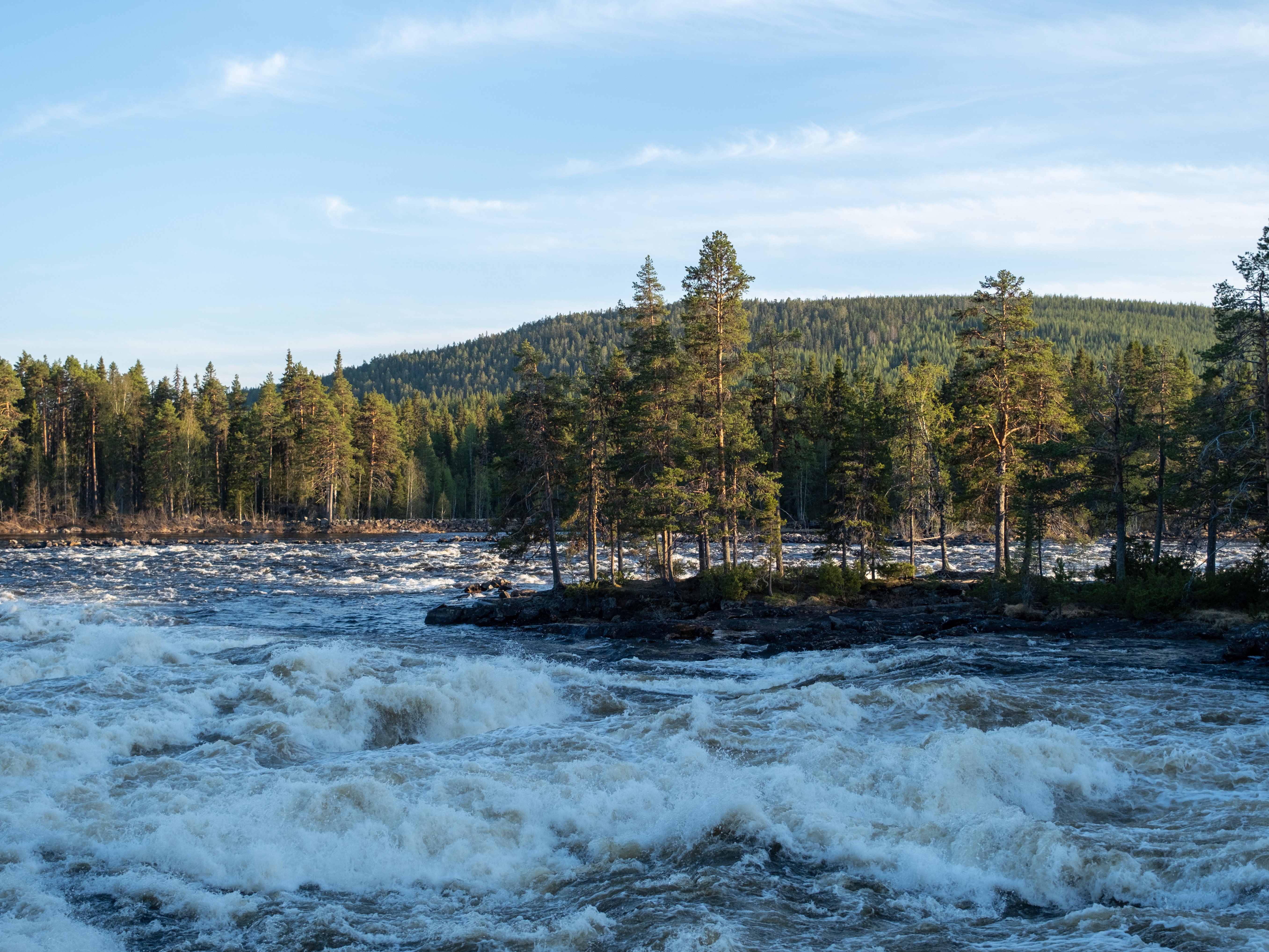 Bilder till bildgalleri