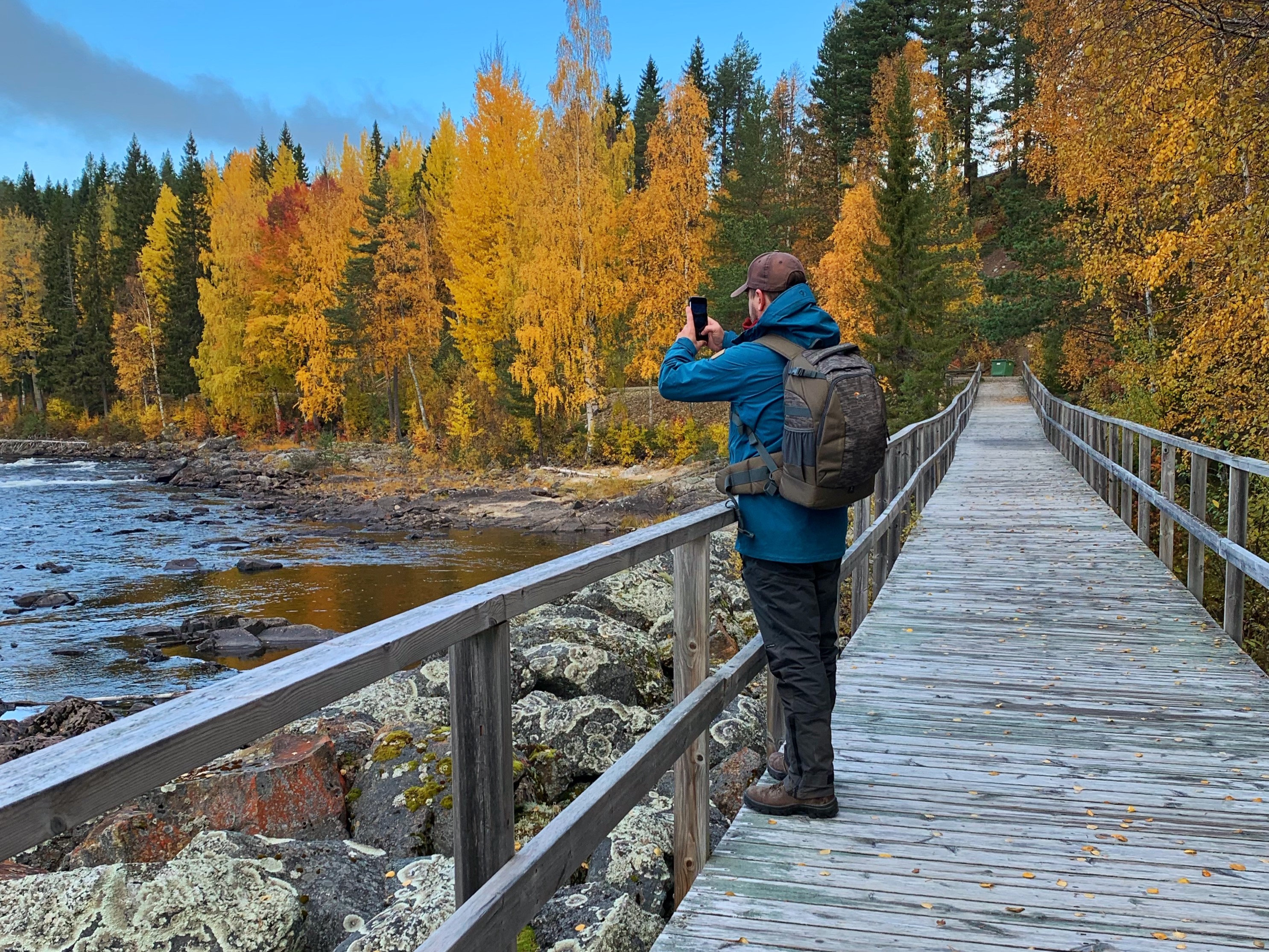 Bilder till bildgalleri