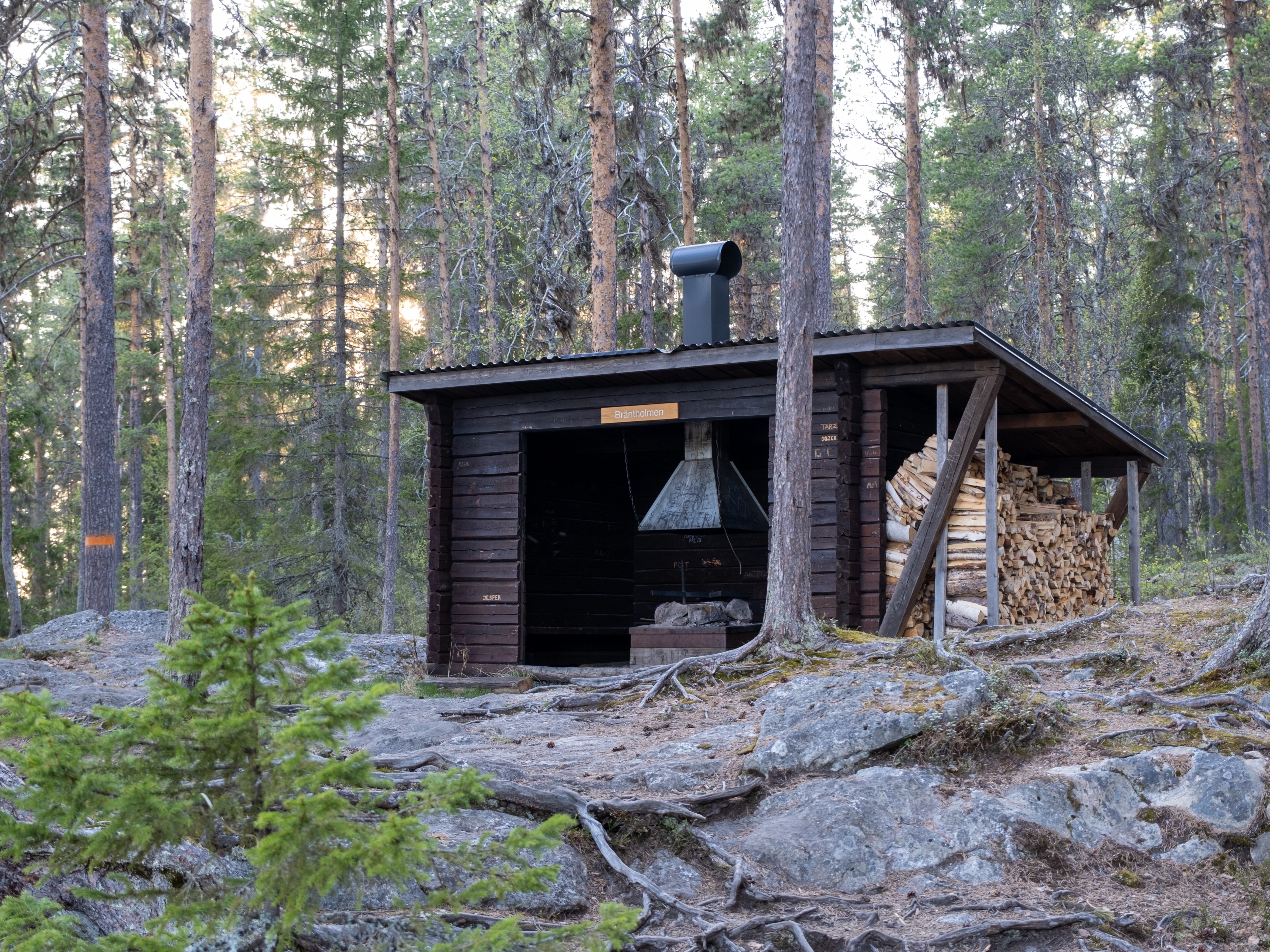 Bilder till bildgalleri