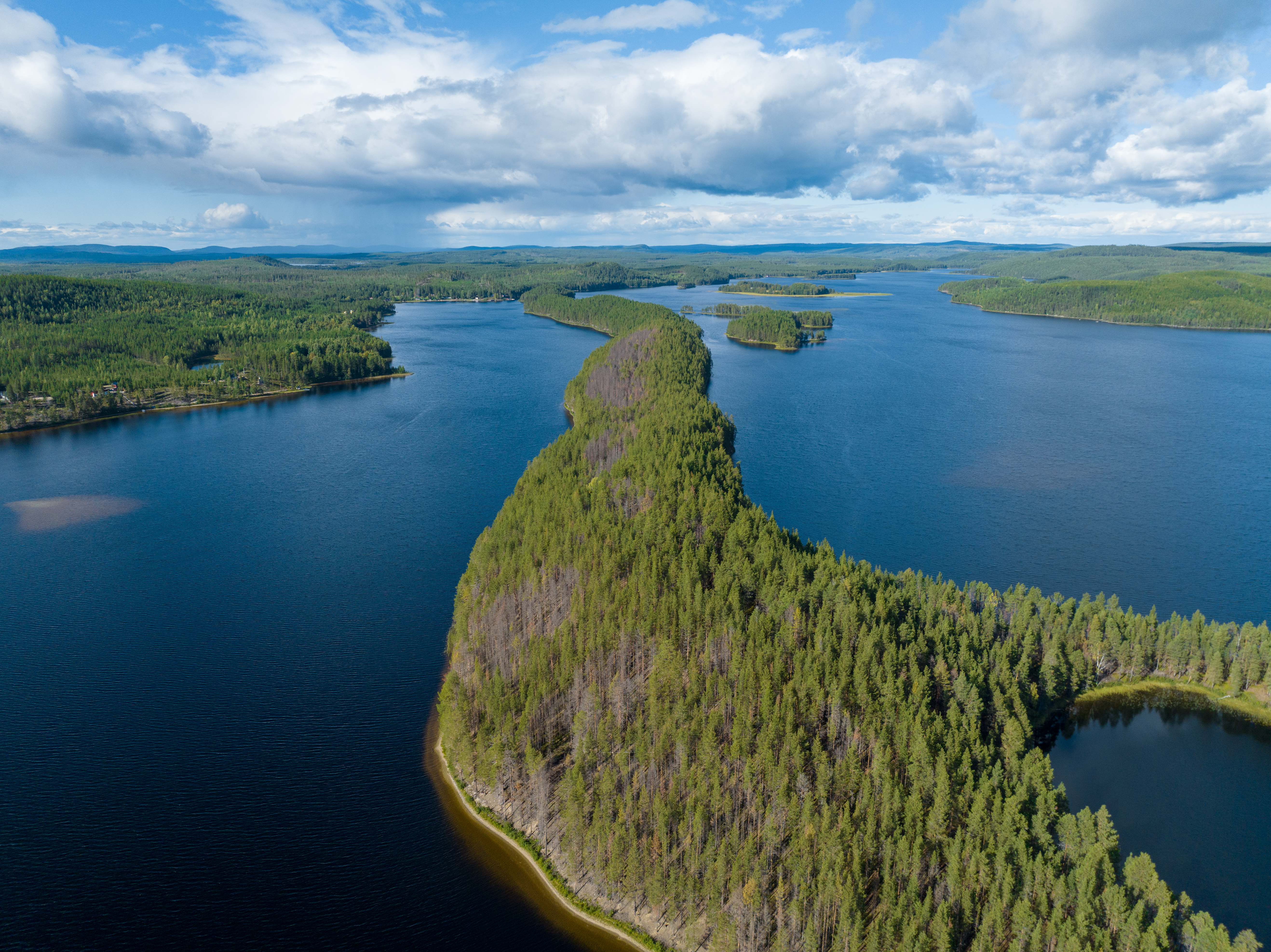 Bilder till bildgalleri