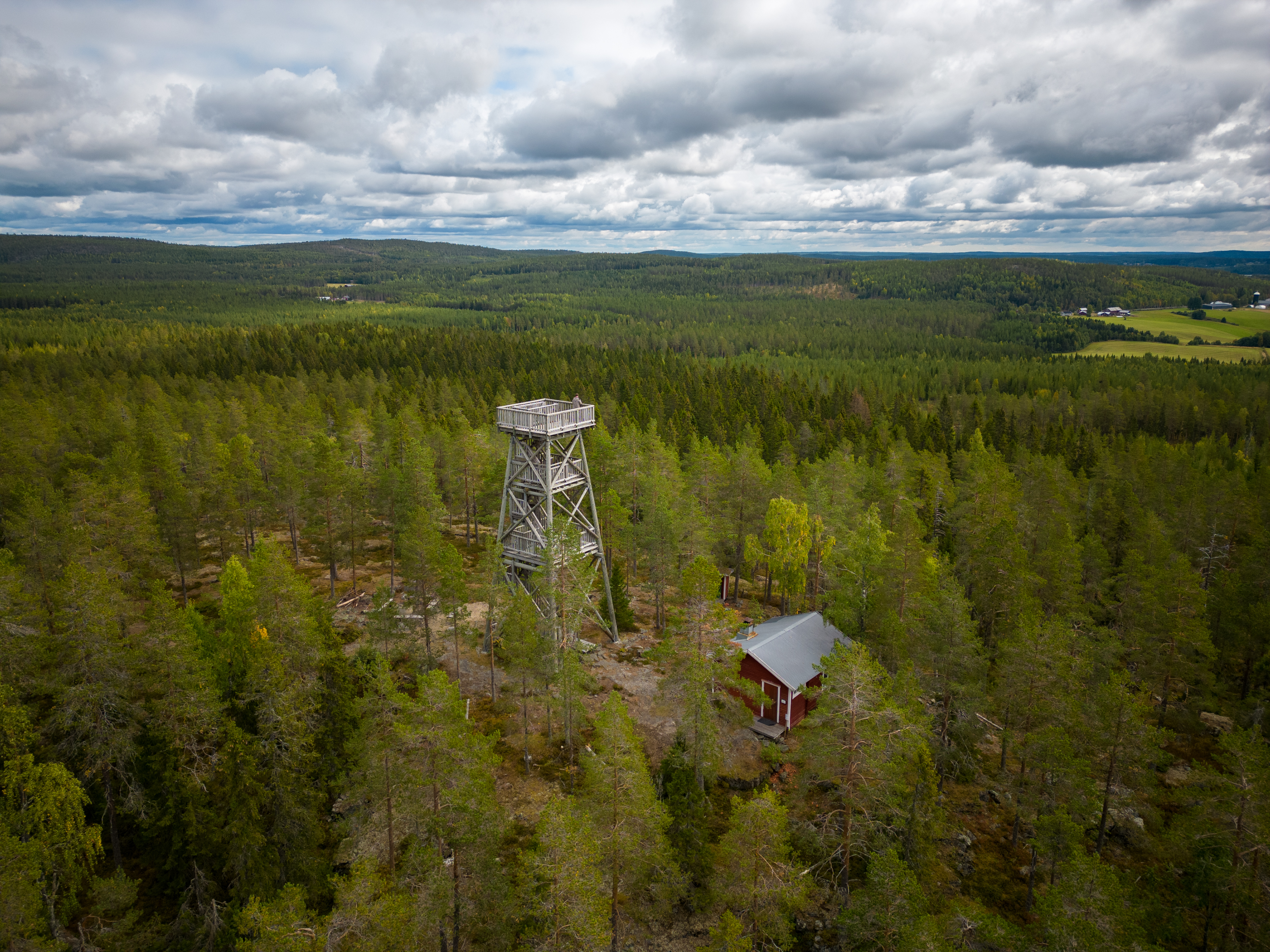 Bilder till bildgalleri