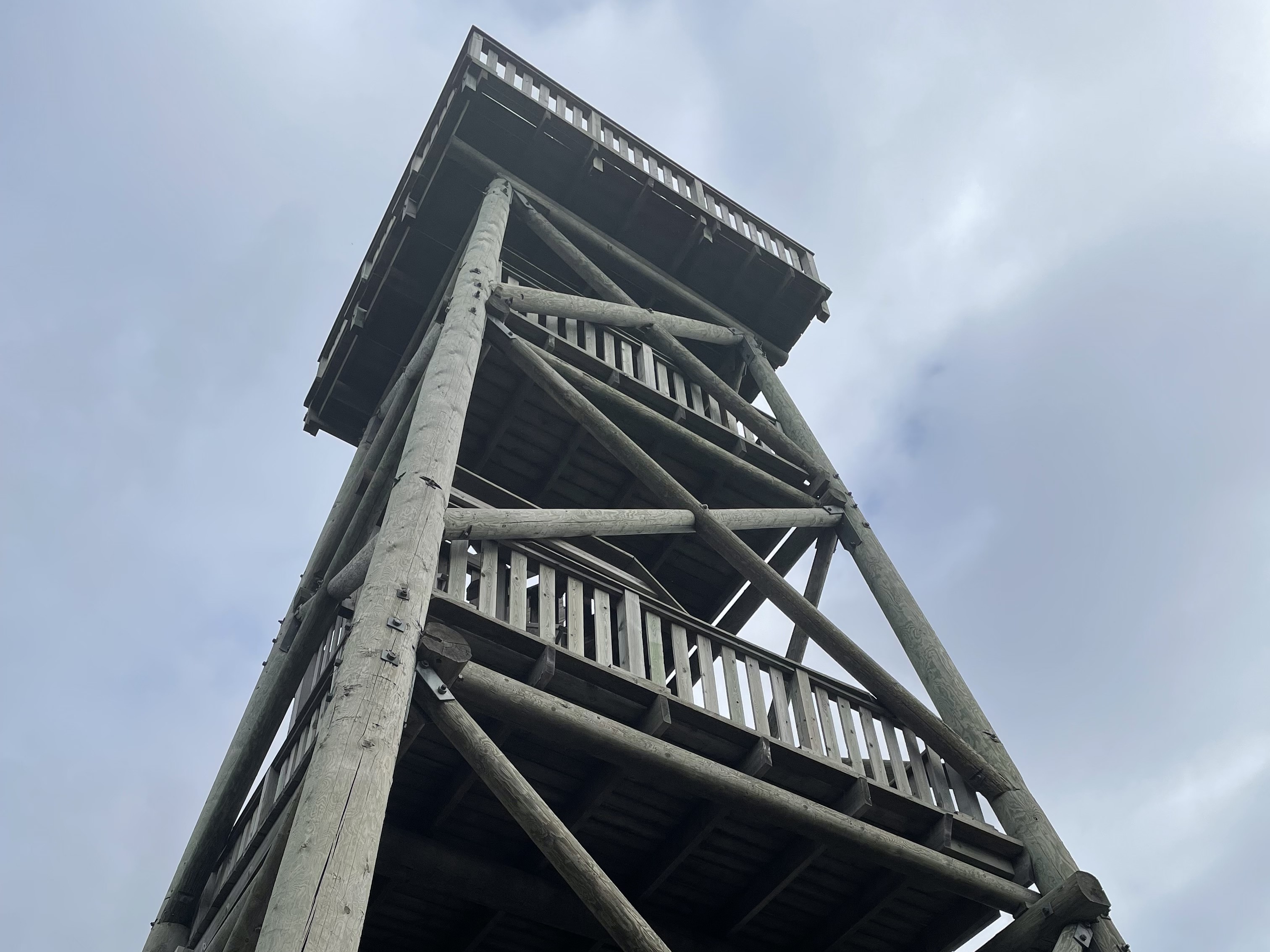 Bilder till bildgalleri