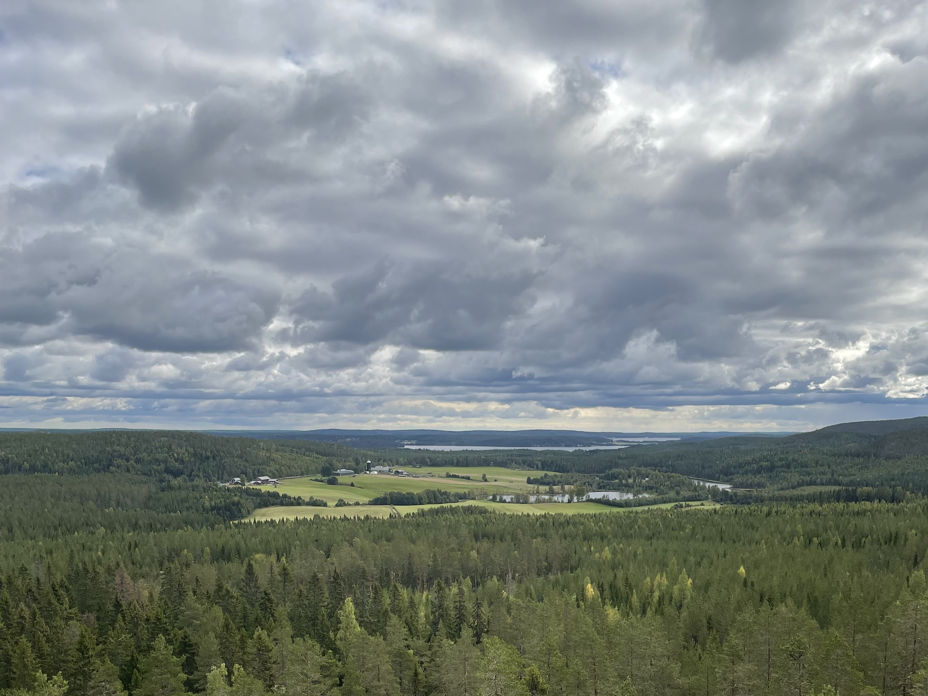 Bilder till bildgalleri