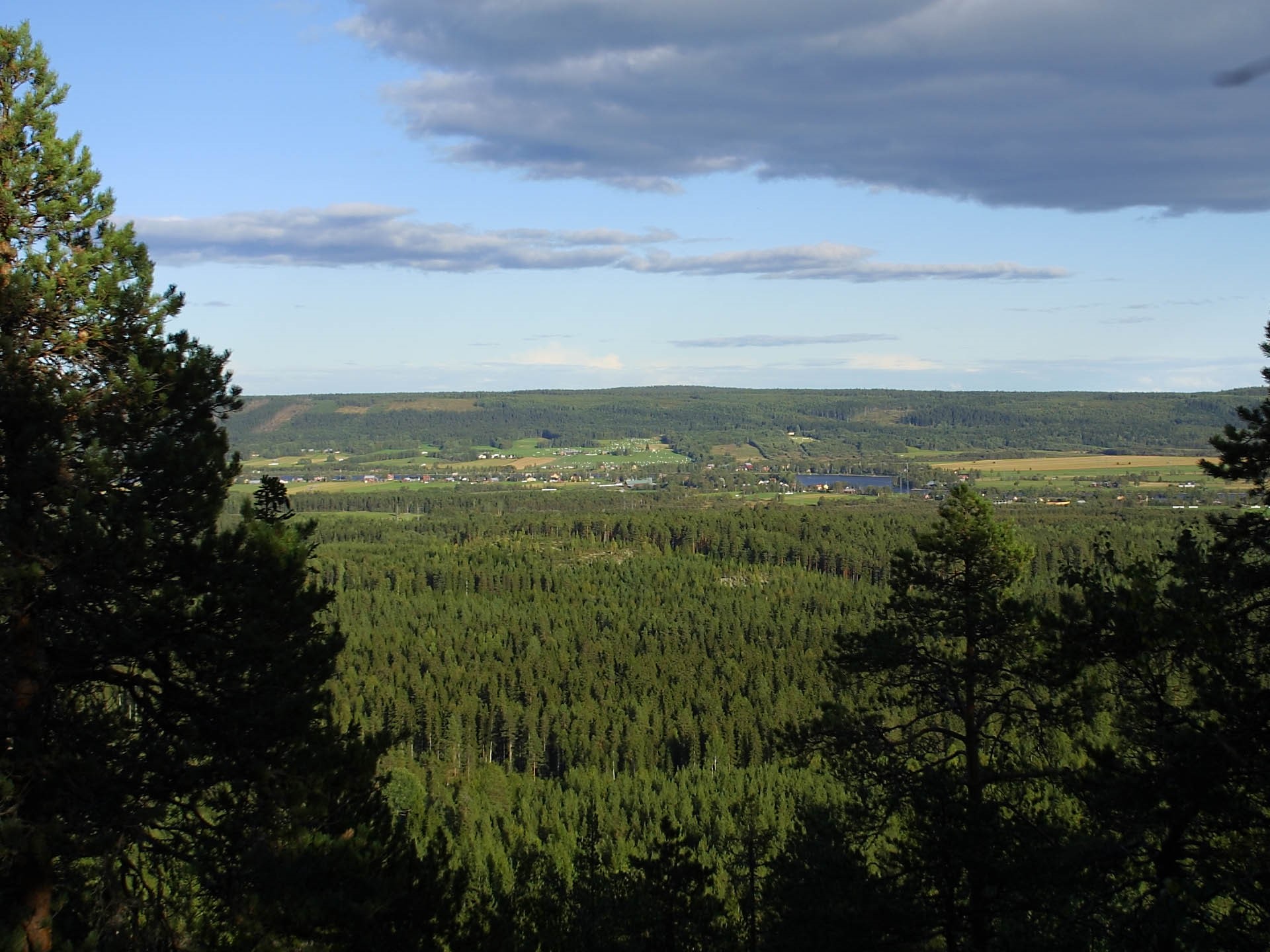 Bilder till bildgalleri