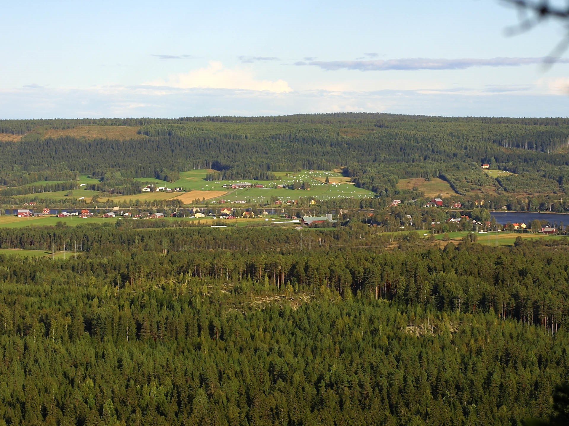 Bilder till bildgalleri