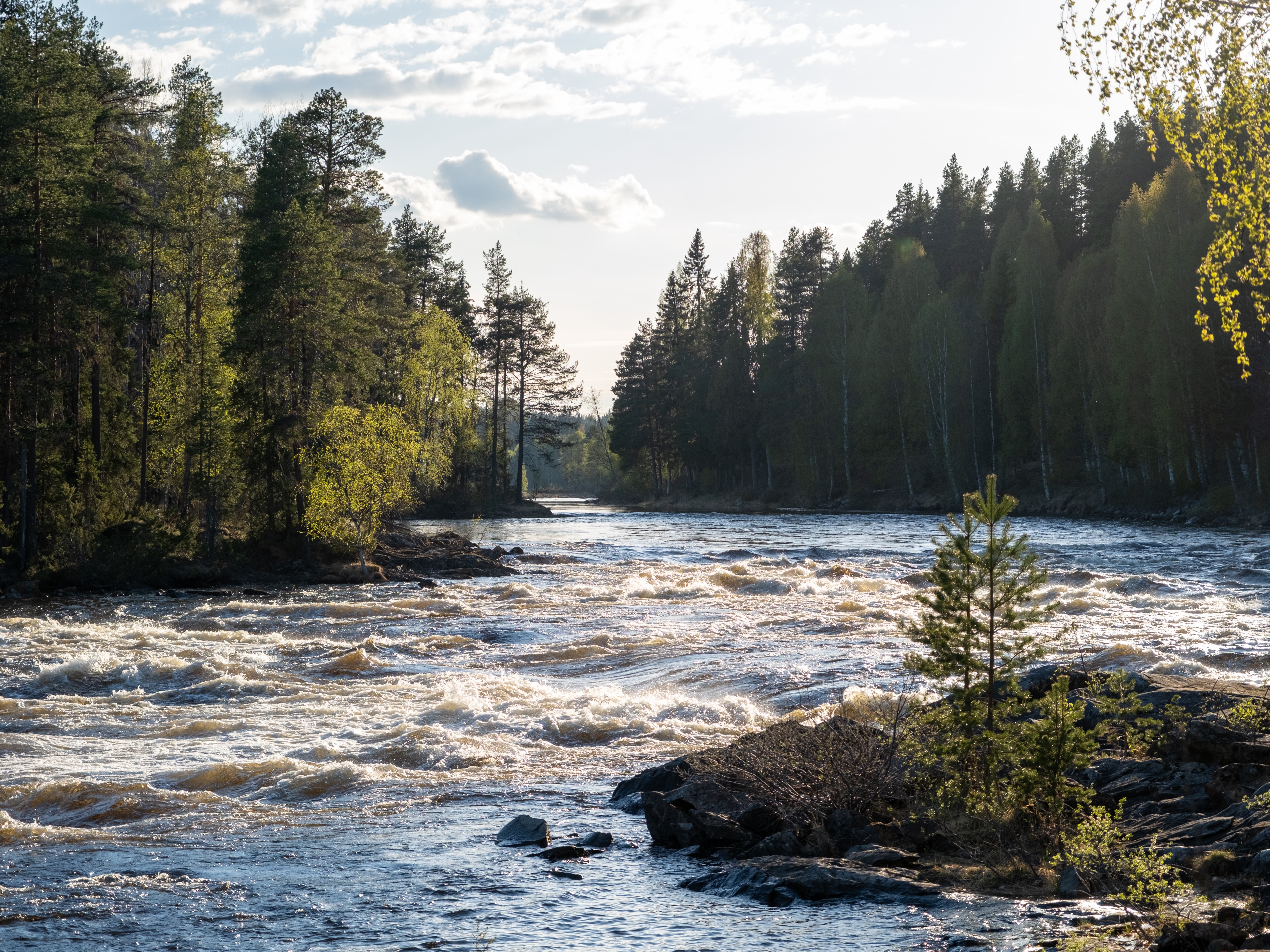 Bilder till bildgalleri