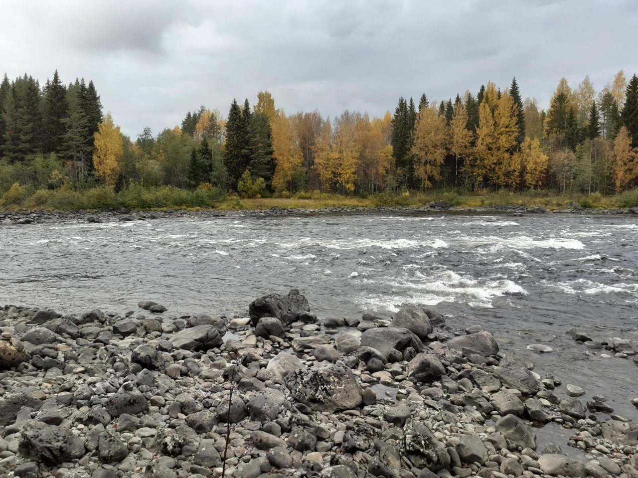 Bilder till bildgalleri