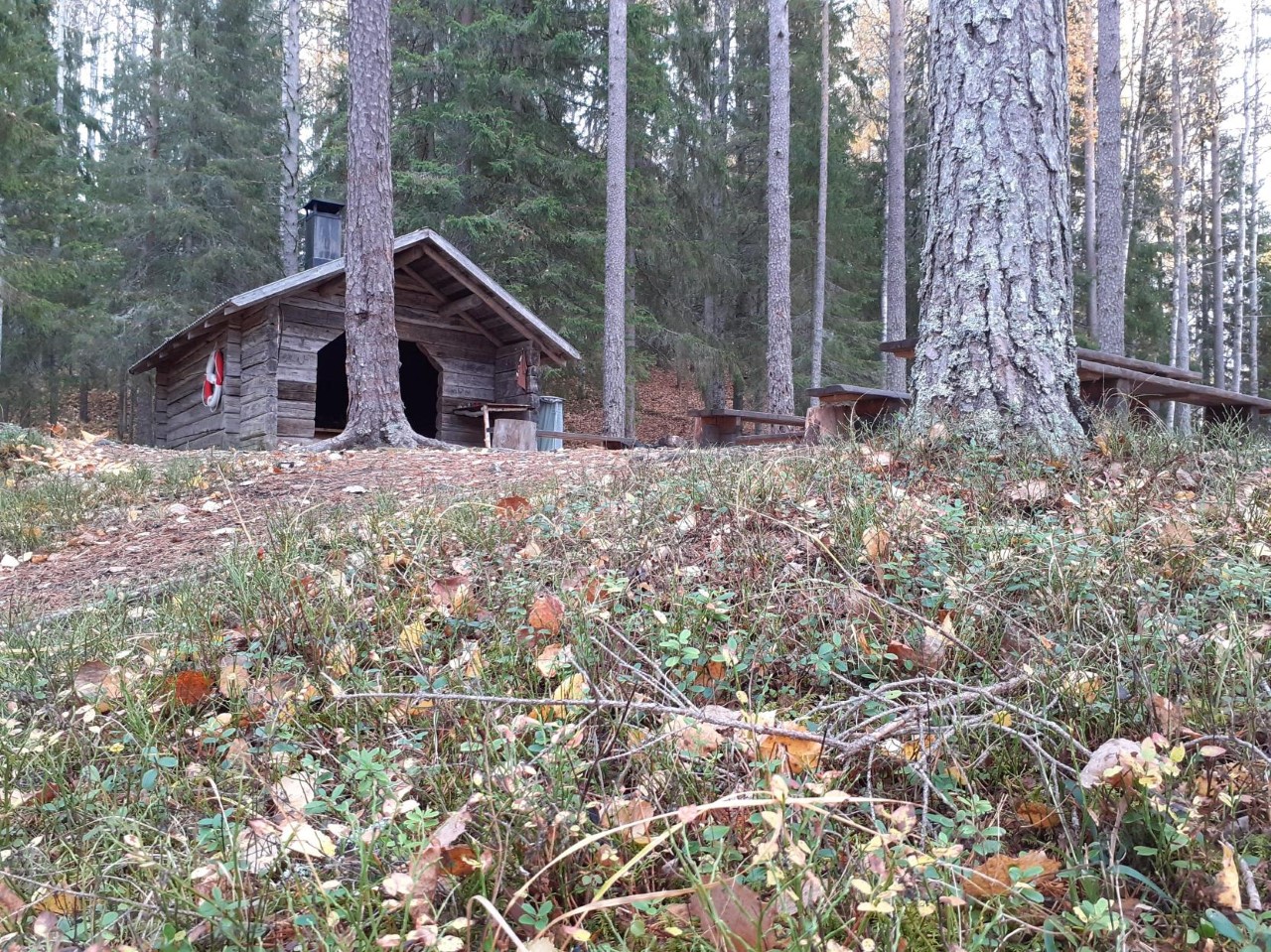 Bilder till bildgalleri