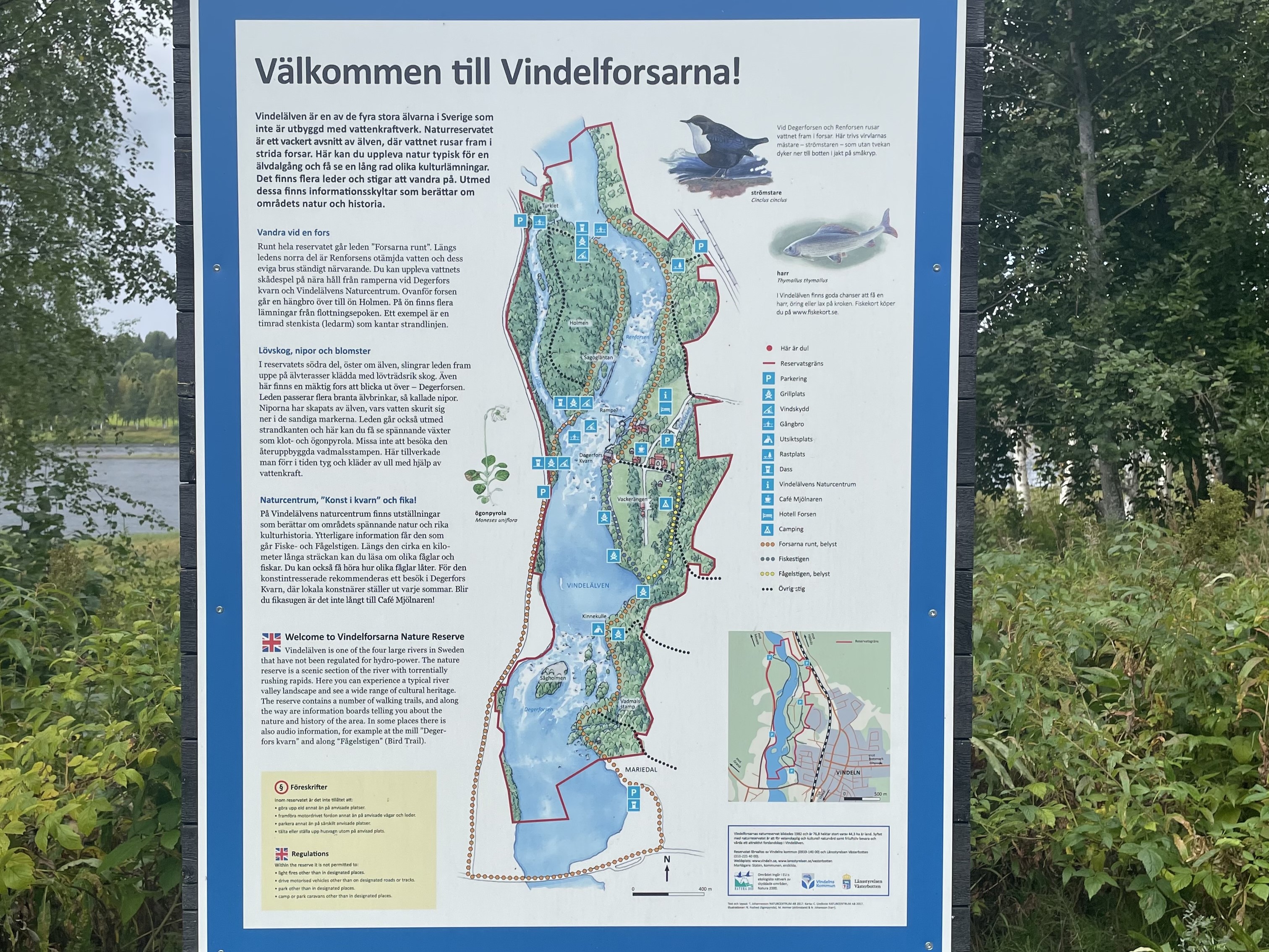 Bilder till bildgalleri