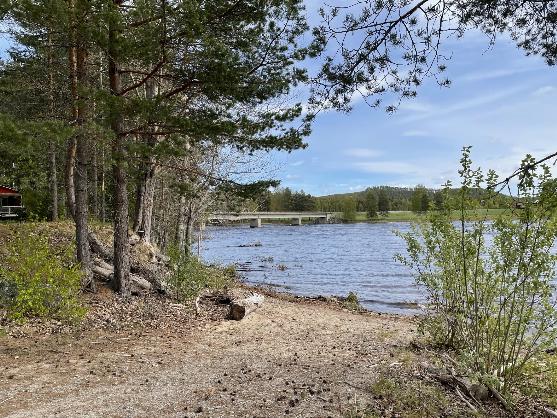 Bilder till bildgalleri