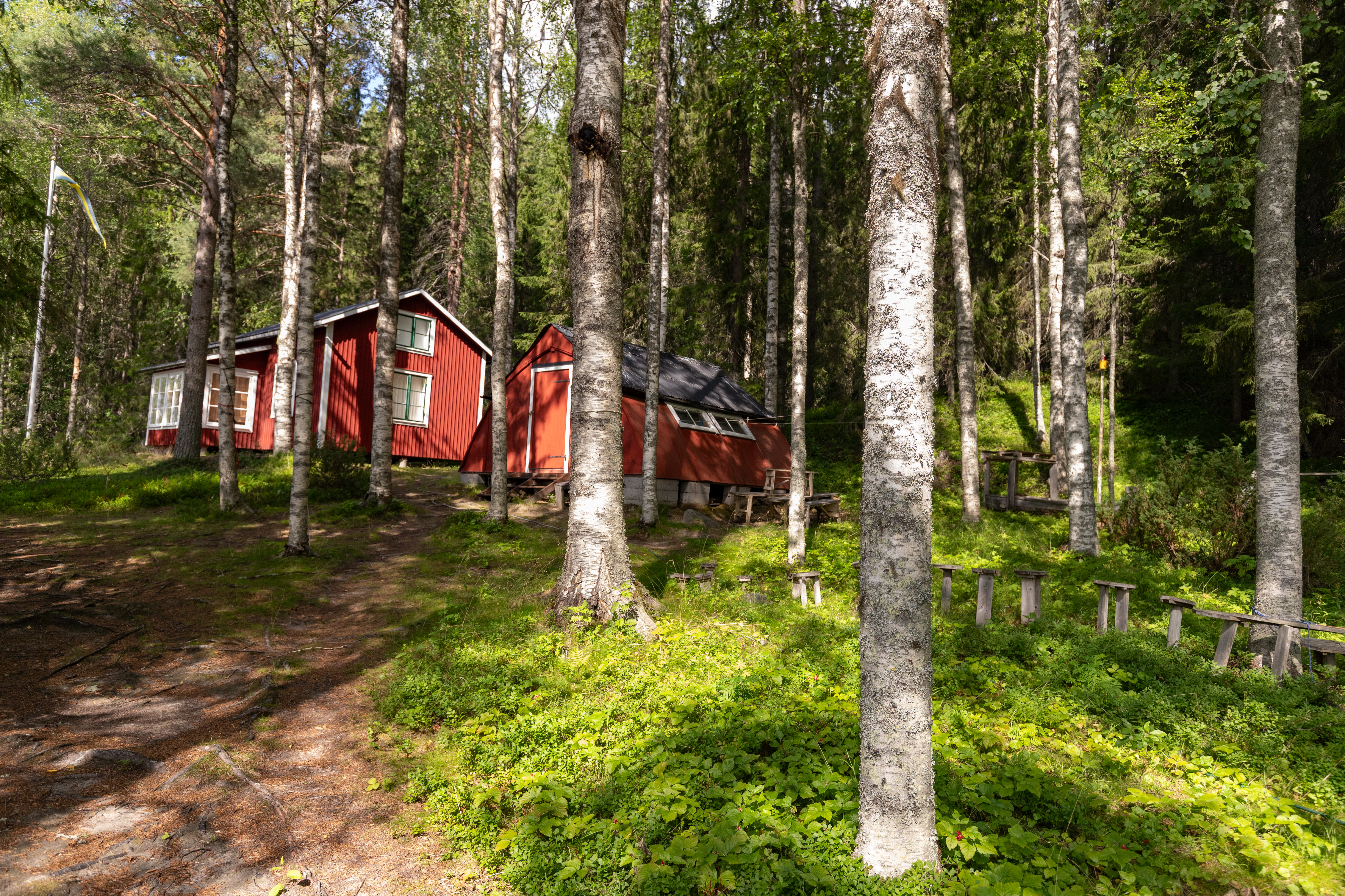 Bilder till bildgalleri