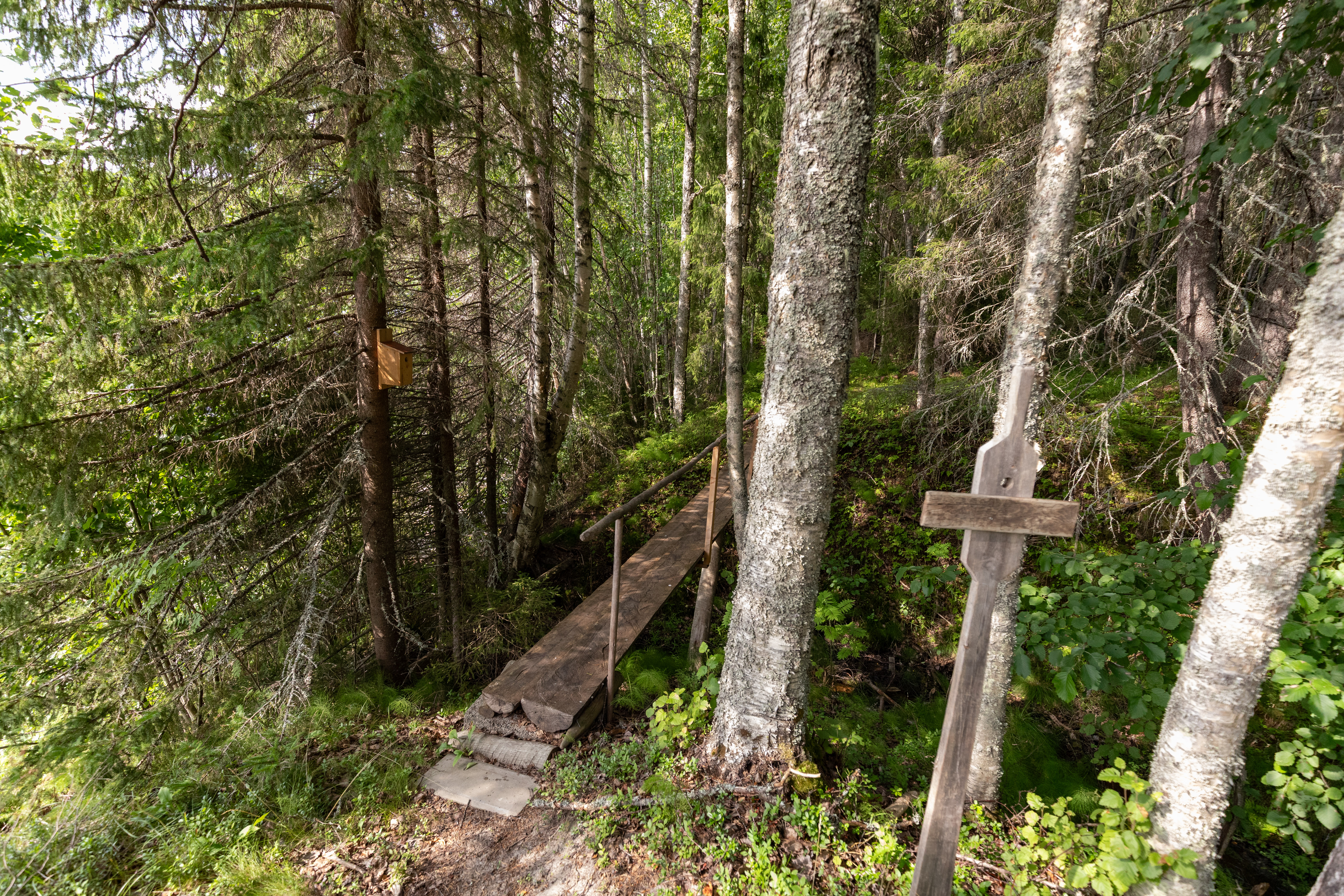 Bilder till bildgalleri