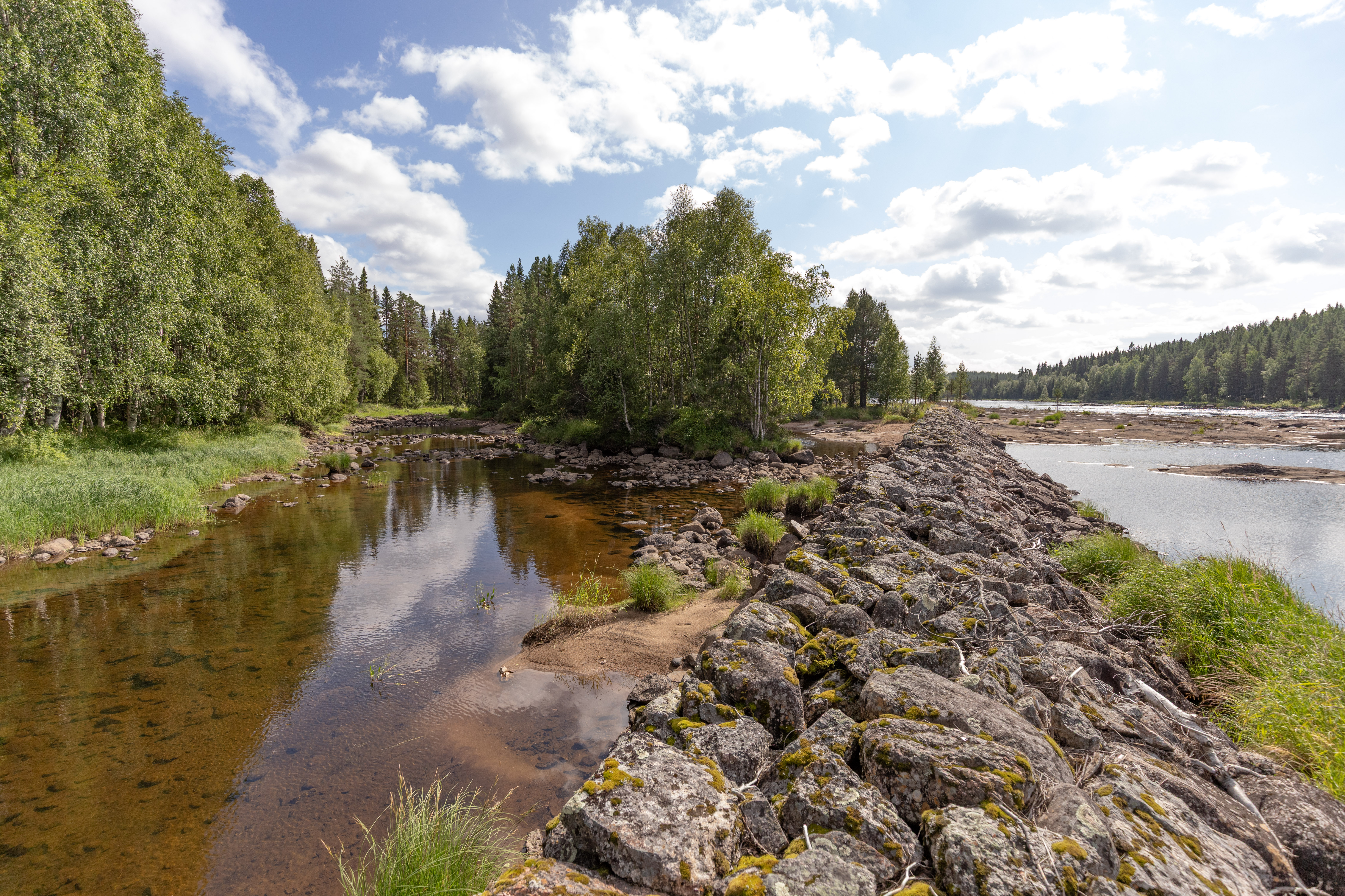 Bilder till bildgalleri