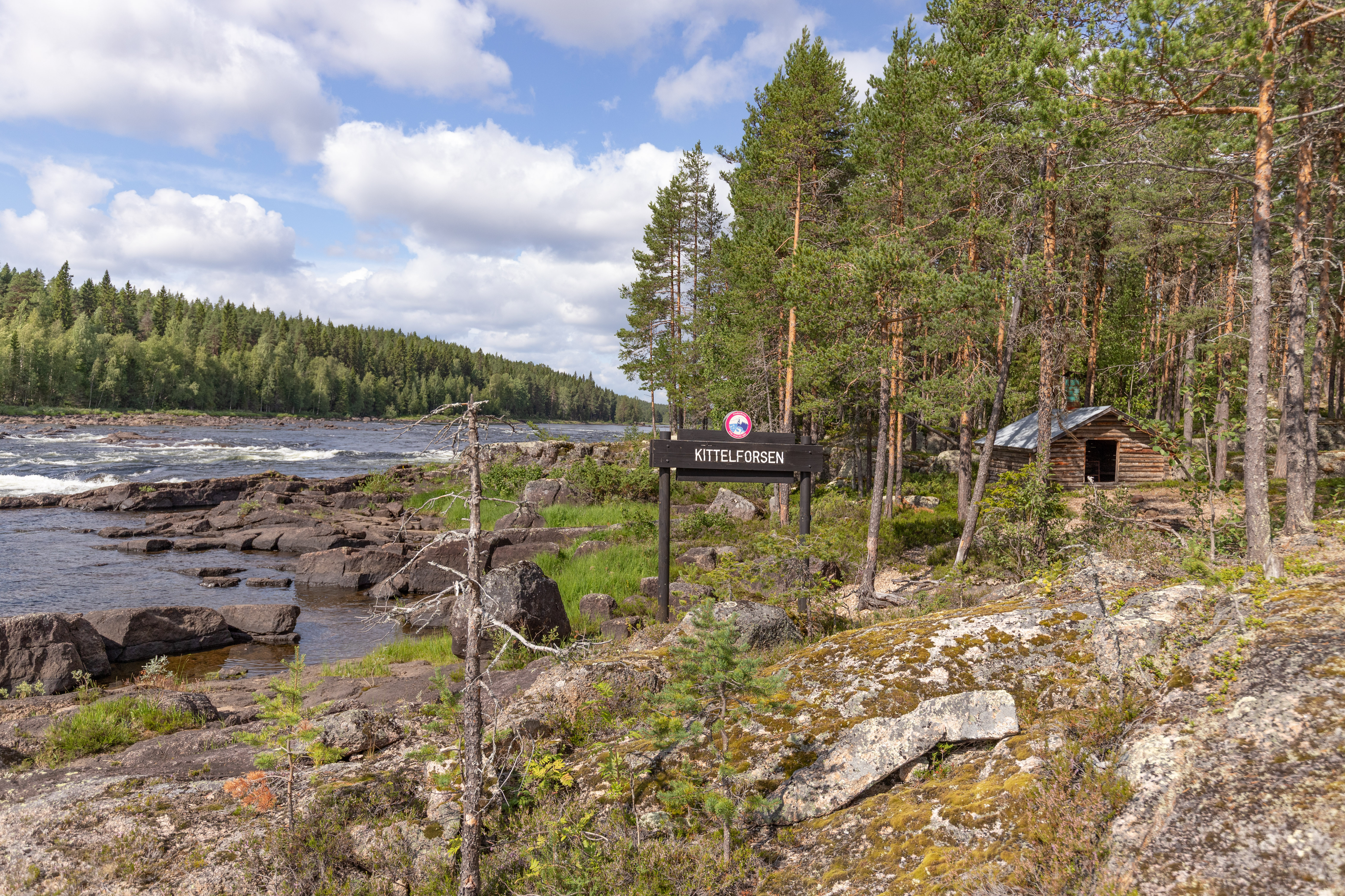 Bilder till bildgalleri