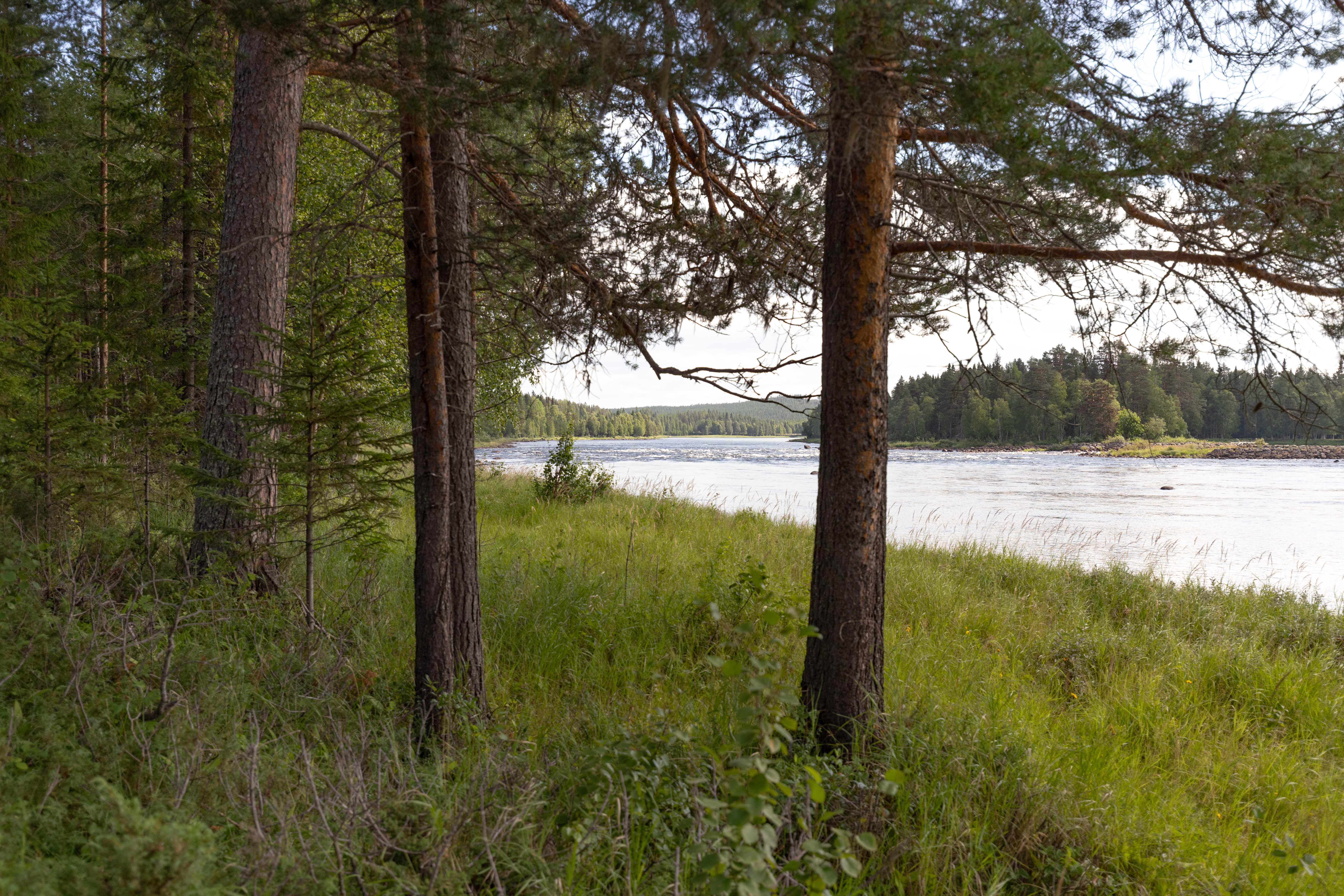 Bilder till bildgalleri