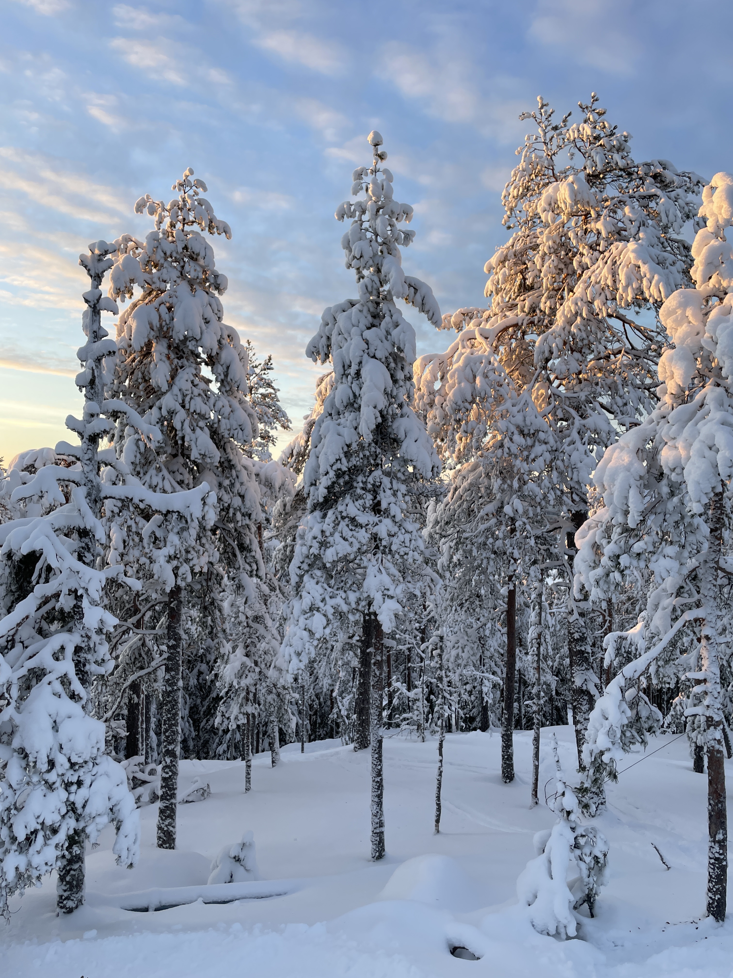 Bilder till bildgalleri