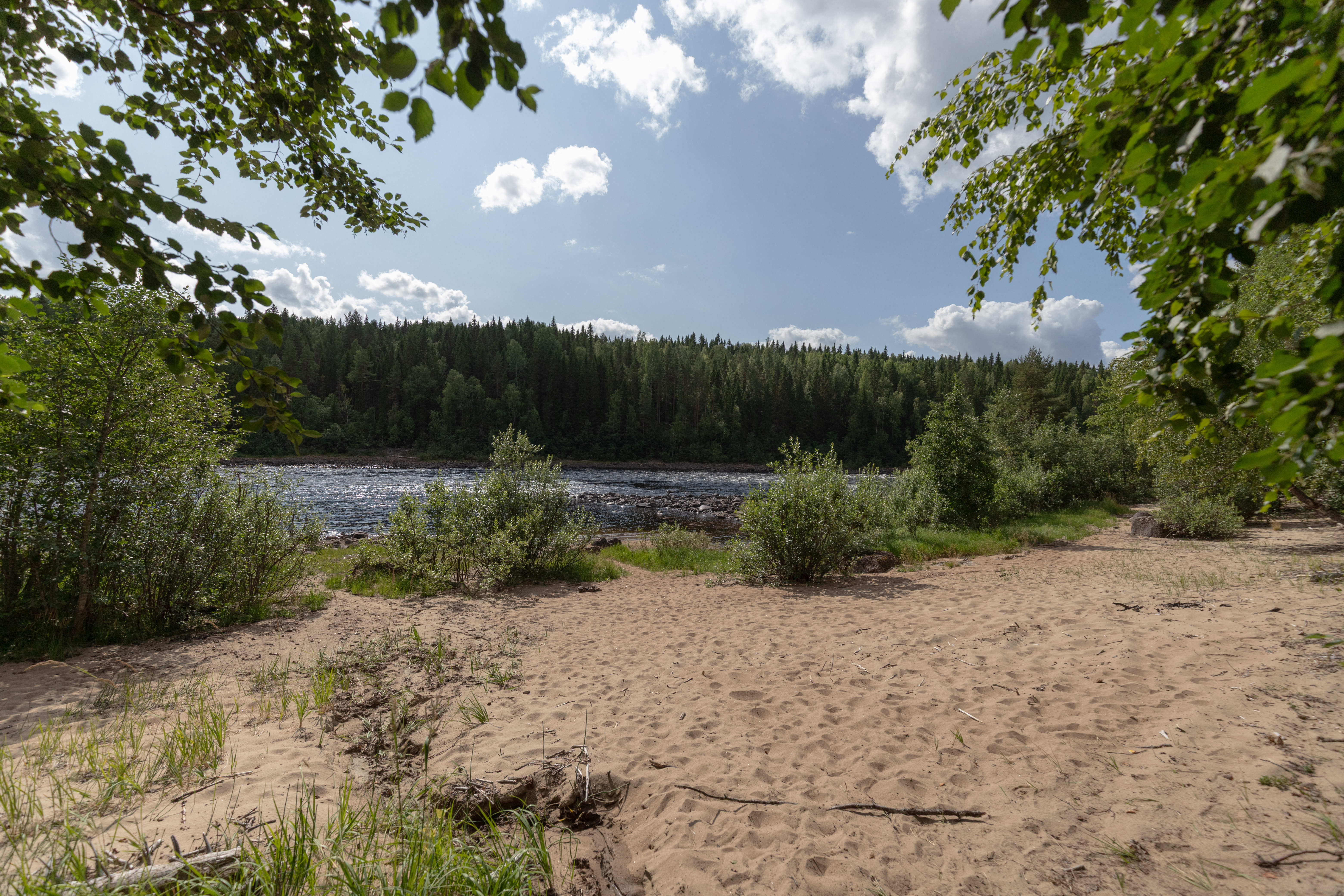 Bilder till bildgalleri