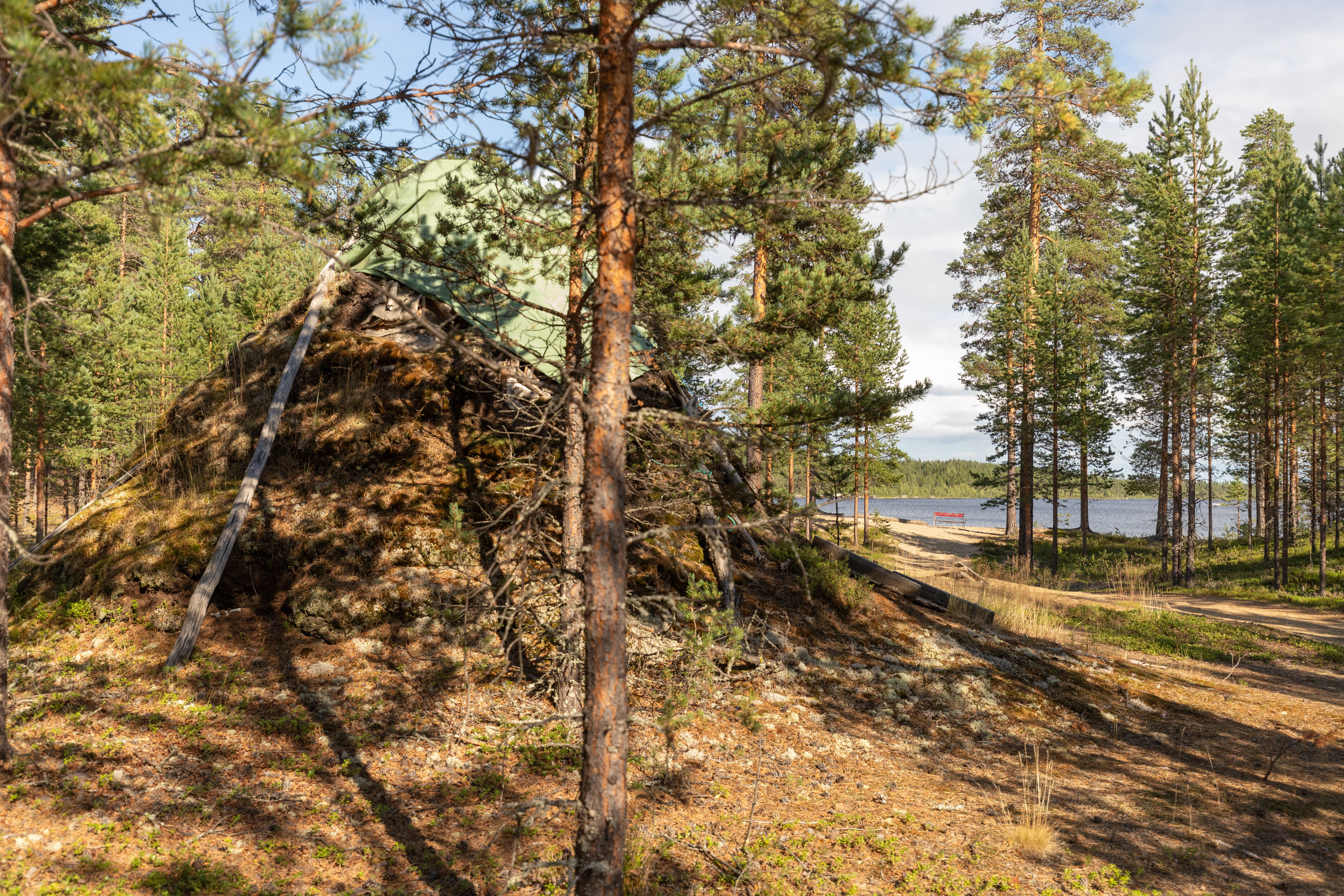 Bilder till bildgalleri