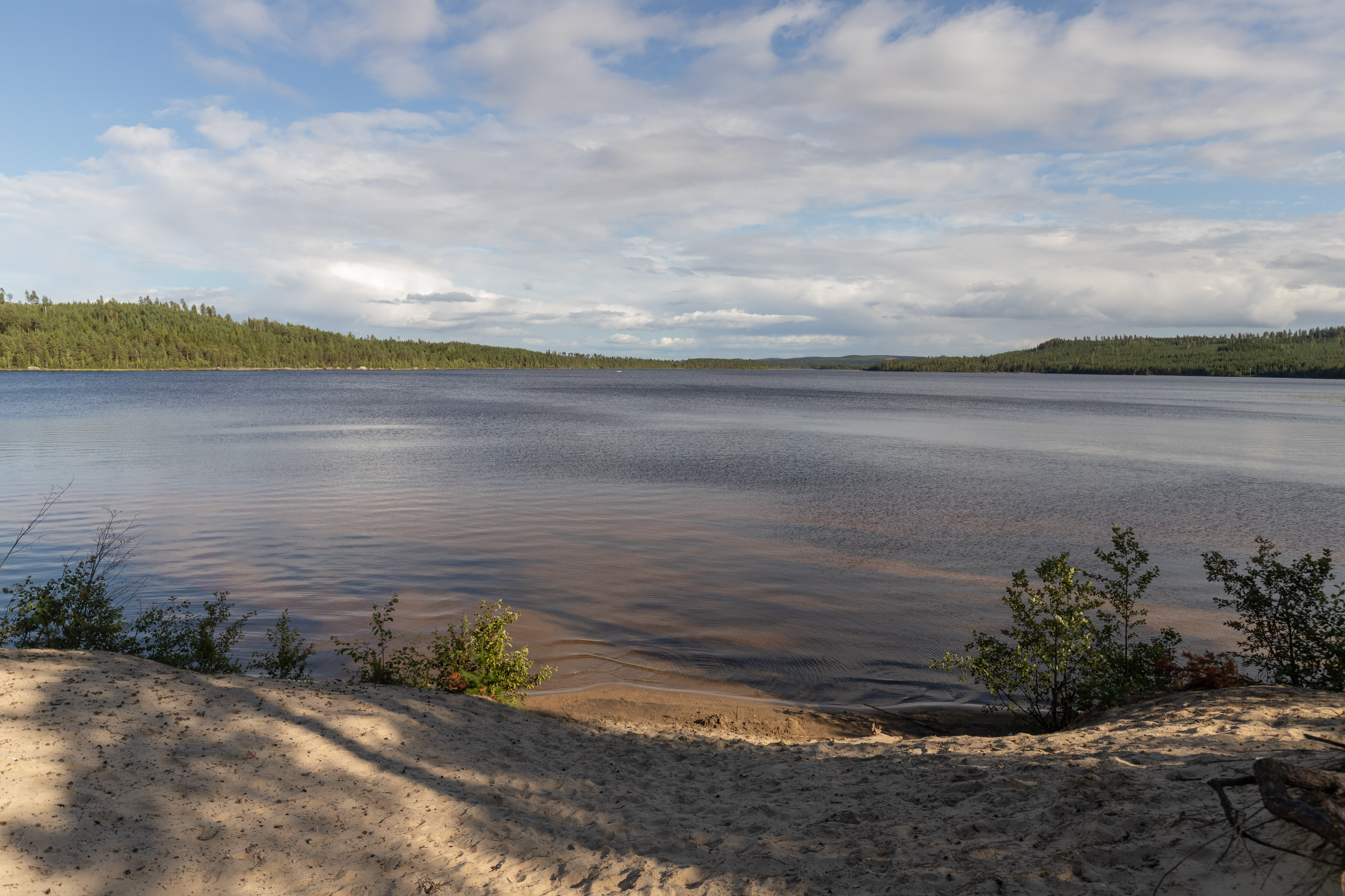 Bilder till bildgalleri