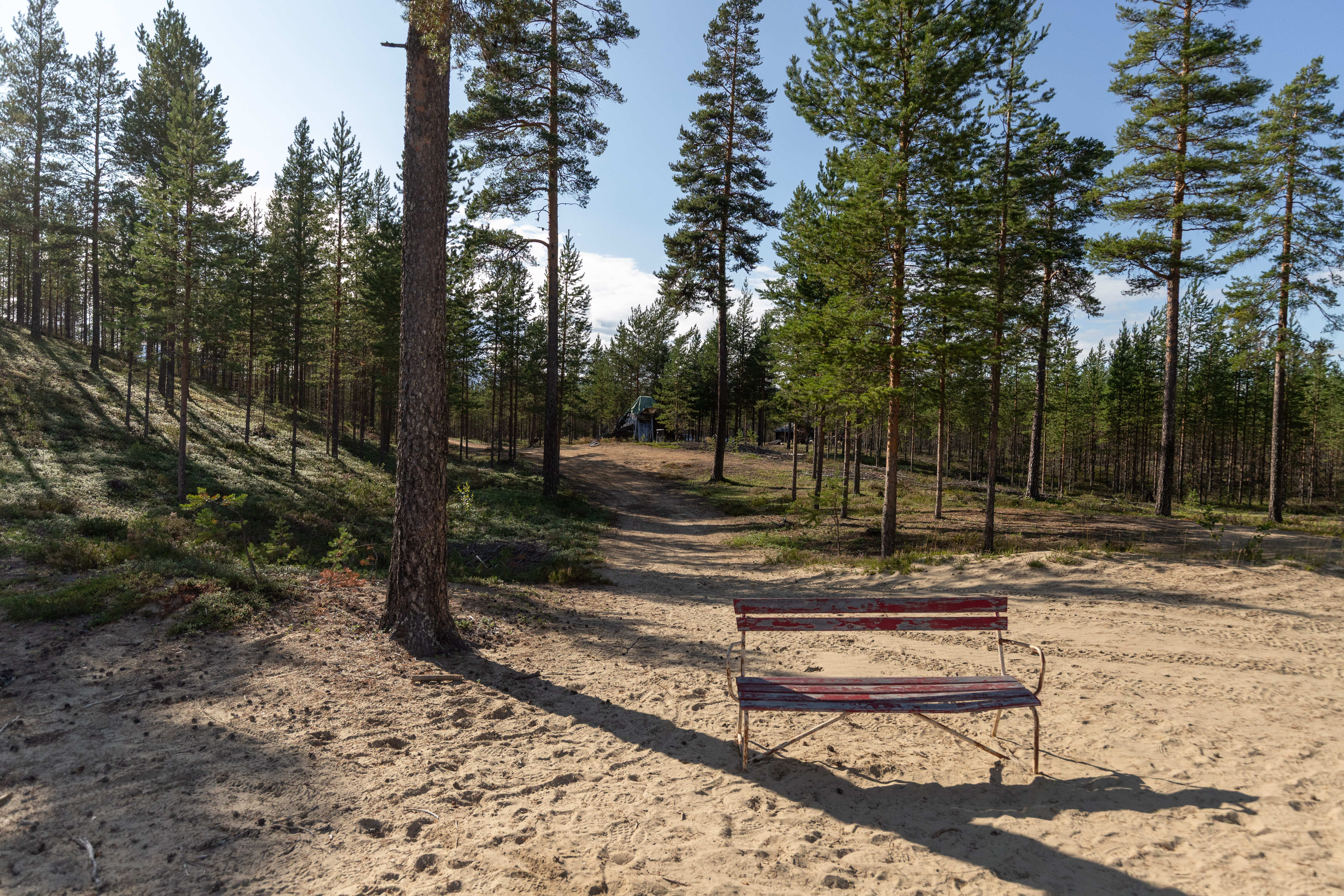 Bilder till bildgalleri